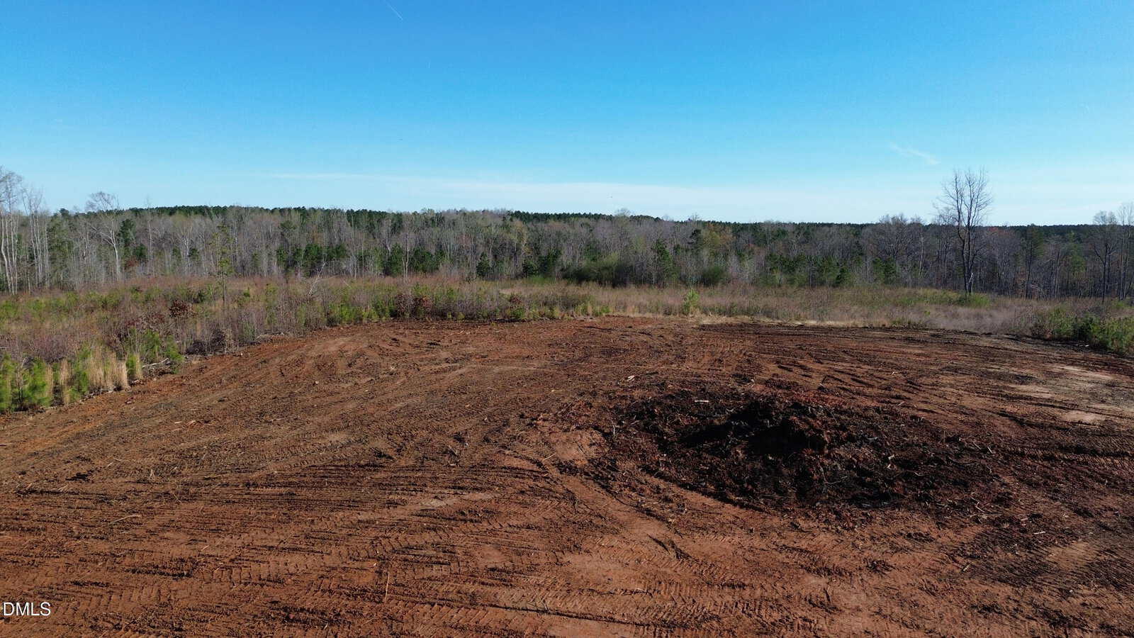 A large, cleared patch of bare soil with a small mound of dirt in the center, surrounded by leafless trees and shrubs under a clear blue sky.