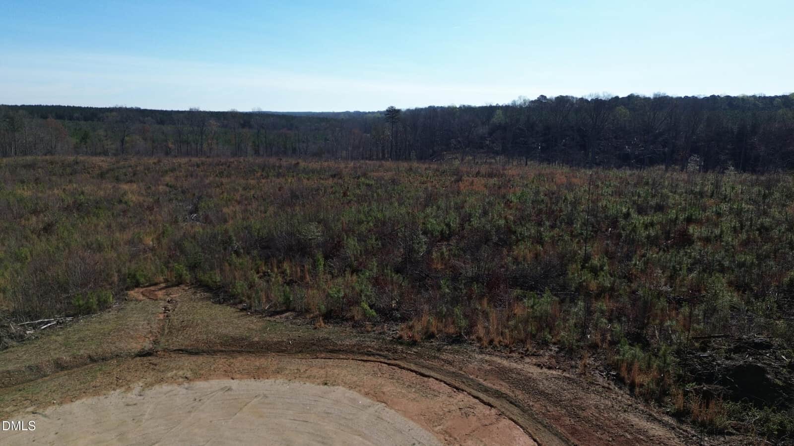 Aerial view of a partially cleared, circular dirt area in the foreground, surrounded by brush and small trees. The landscape extends to a distant tree line under a blue sky.