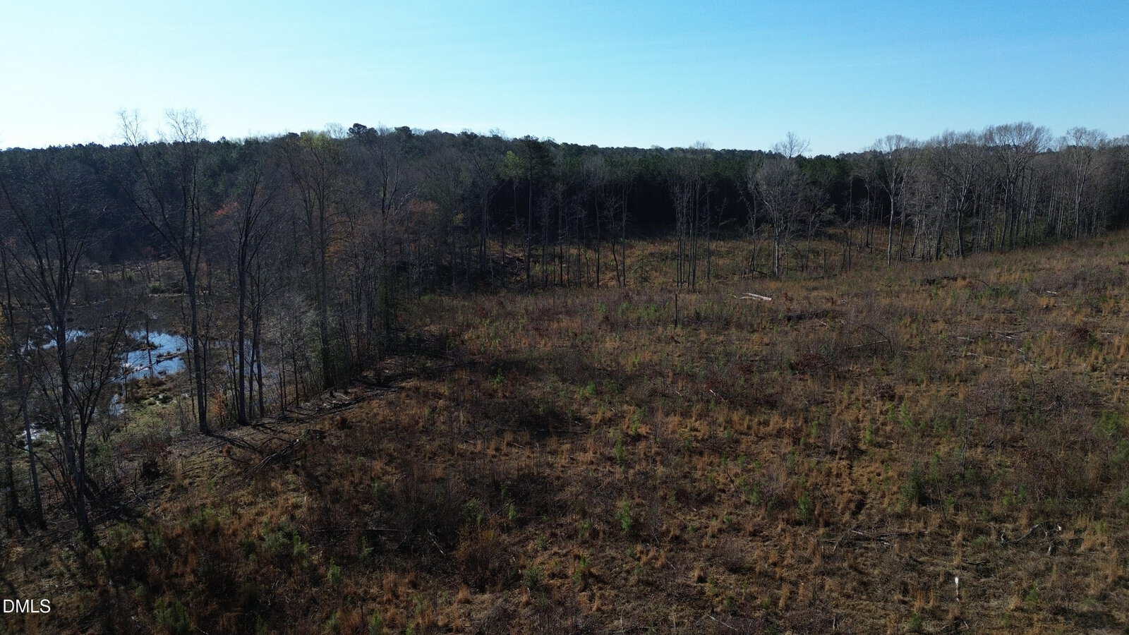 A cleared, grassy field with sparse small trees and patches of taller, leafless trees at the border. A pond is visible to the left, and dense forest lines the horizon under a clear blue sky.