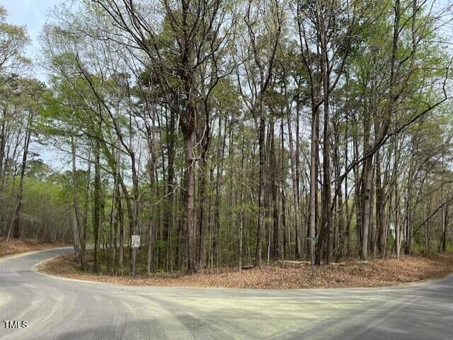 A curved road surrounds a wooded area with tall trees covered in spring leaves. A speed limit sign is visible on the left side of the road; the ground is covered with dry leaves. The sky is partly cloudy.