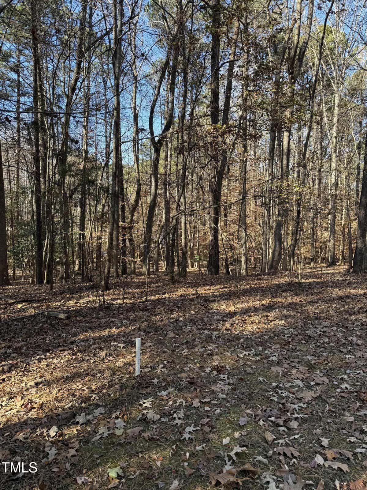 A wooded area with leaf-covered ground, tall trees with sparse leaves, and a single white stake or marker in the foreground near 0 Laurel Court. Sunlight filters through the branches, creating patches of light and shadow in this tranquil Littleton setting.