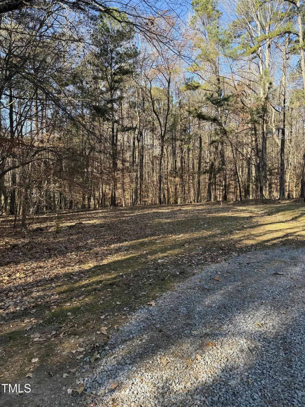 A gravel driveway curves through a wooded area with tall, leafless trees under a clear blue sky. Sunlight filters through the branches, casting shadows on the ground.
