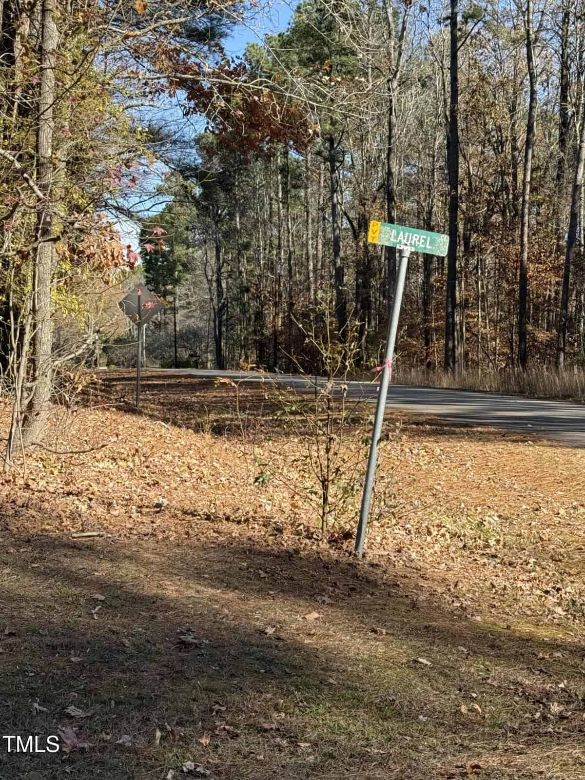 A bent street sign labeled “Laurel” stands by a rural road lined with autumn trees and fallen leaves, with a distant intersection sign visible.