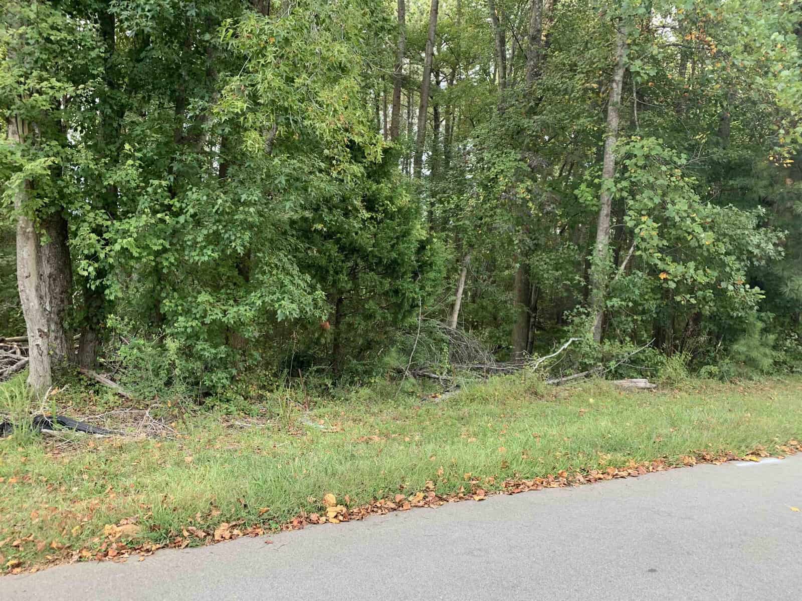 A paved road runs alongside a grassy edge with fallen leaves near 4553 Ashley View. Dense green trees and underbrush fill the background, marking the start of a wooded area in Oxford.