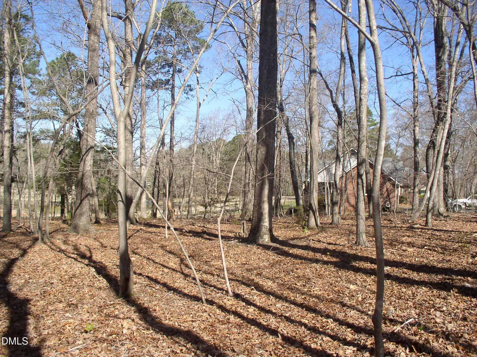 A wooded area with tall leafless trees, a ground covered in dry leaves, and a small brick house partially visible in the background under a clear blue sky.