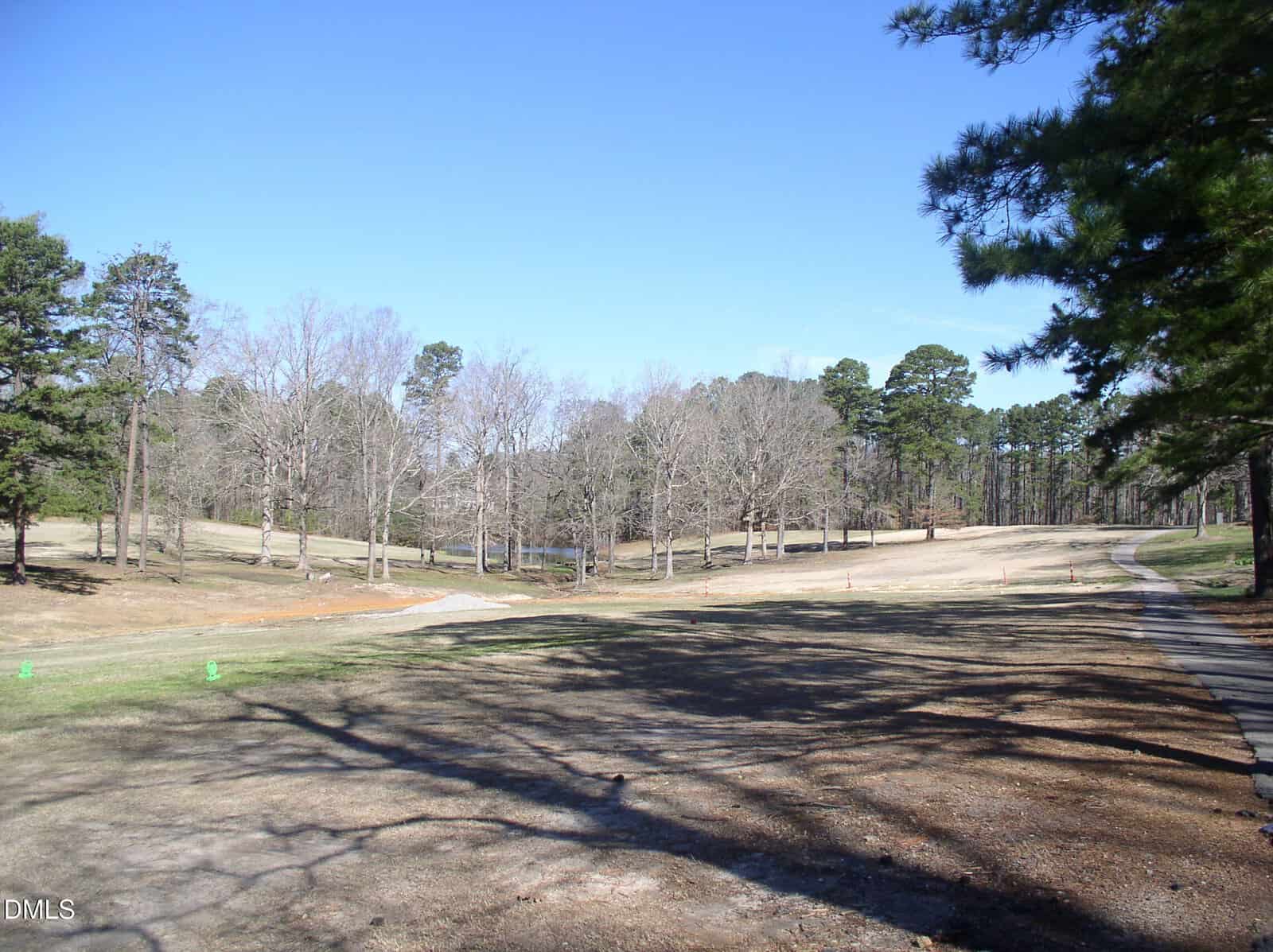 A golf course with patches of dry grass, scattered trees without leaves, a clear blue sky, and a paved path on the right side of the image. Shadows from trees fall across the ground.
