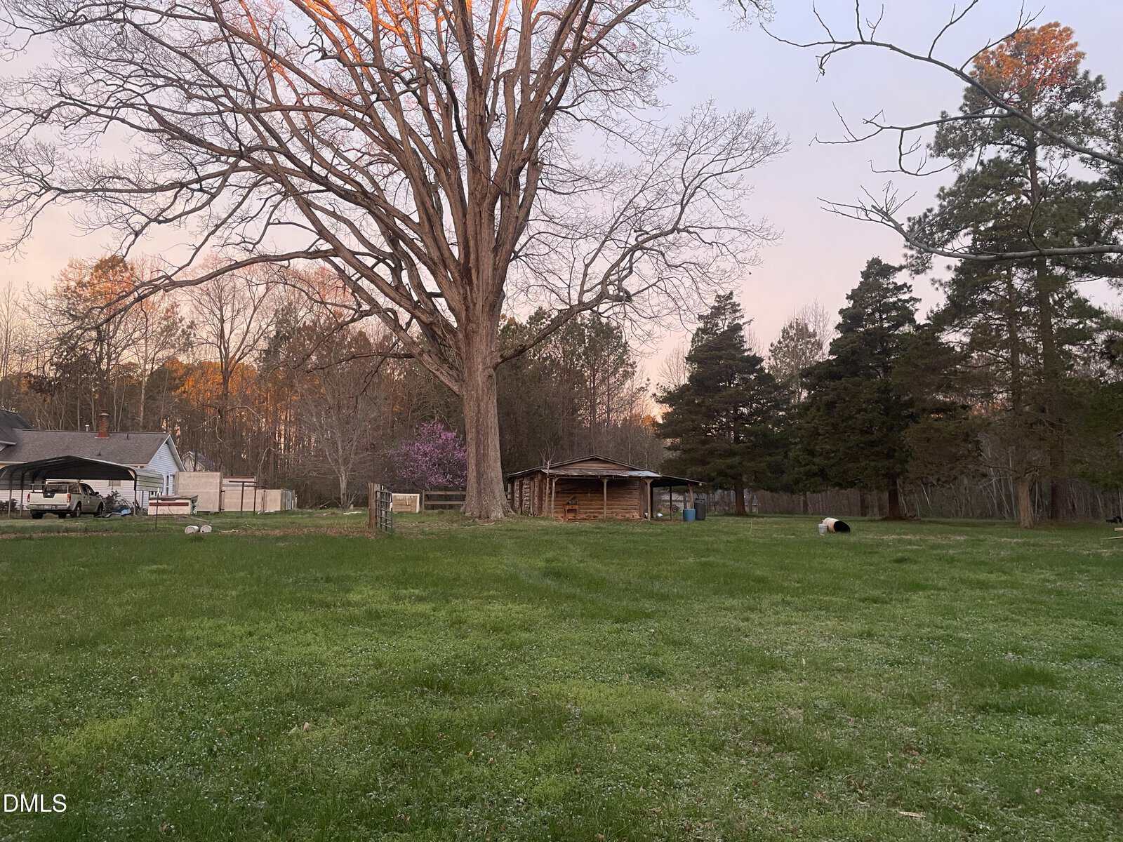 Large grassy yard with a tall tree in the center, a small wooden shed in the background, and several pine trees. A house and other structures are partially visible on the left side. The sky is light pink at dusk.