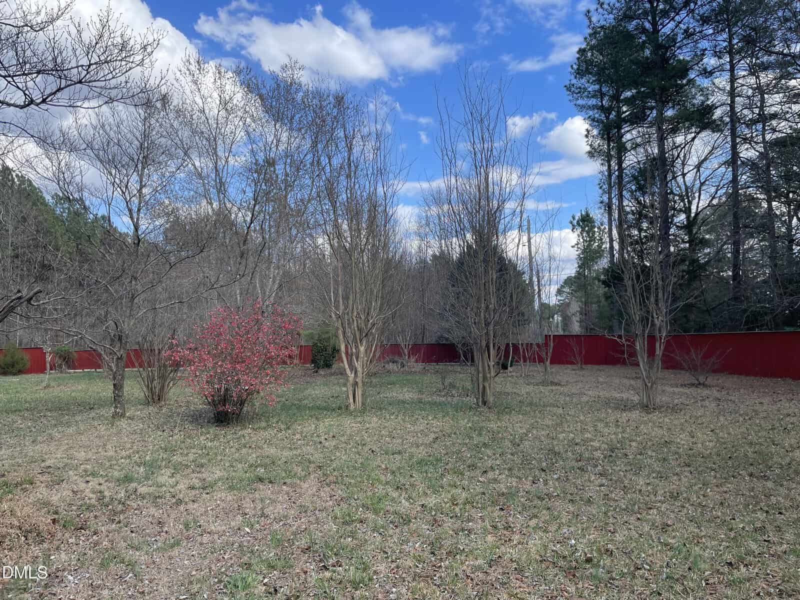 A grassy yard with several leafless trees, a blooming shrub with pink flowers, and a red wooden fence in the background under a partly cloudy sky.