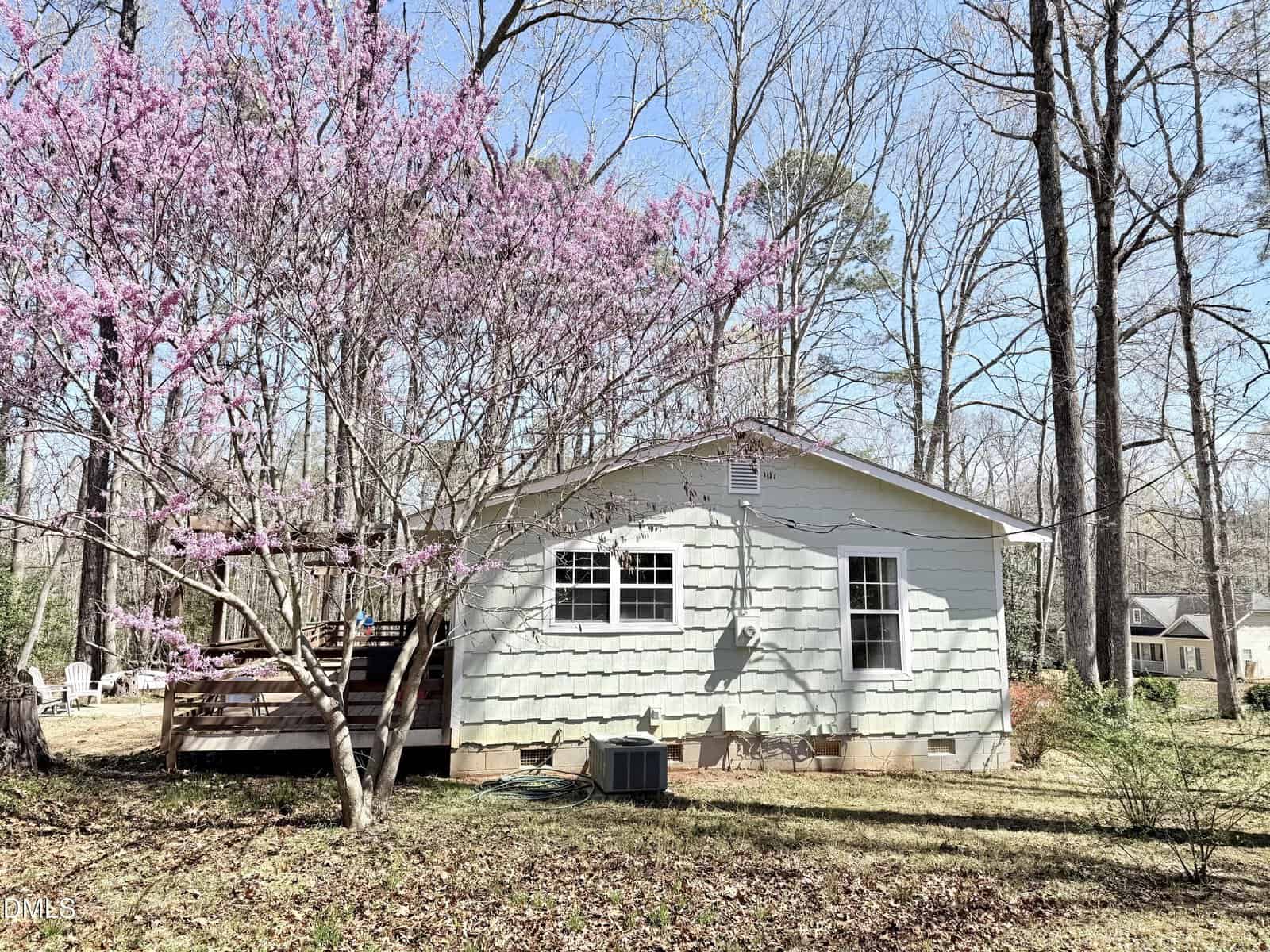 A small light green house with white trim sits in a yard with a pink-flowering tree in front. The area is surrounded by tall leafless trees, with another house visible in the background.