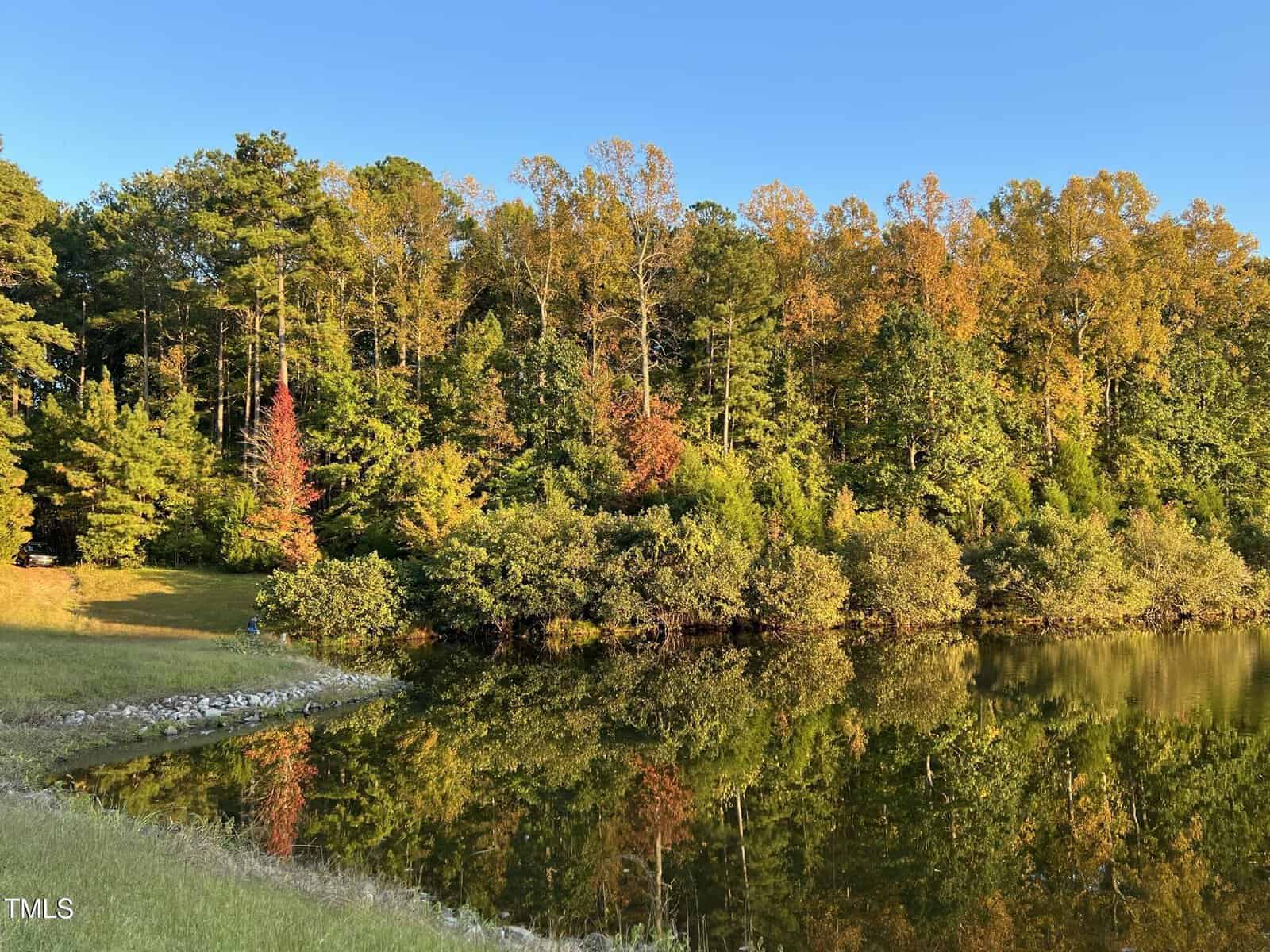 A calm lake reflects trees with green and orange leaves under a clear blue sky. The shoreline is grassy with some rocks, and the scene is brightly lit by sunlight.