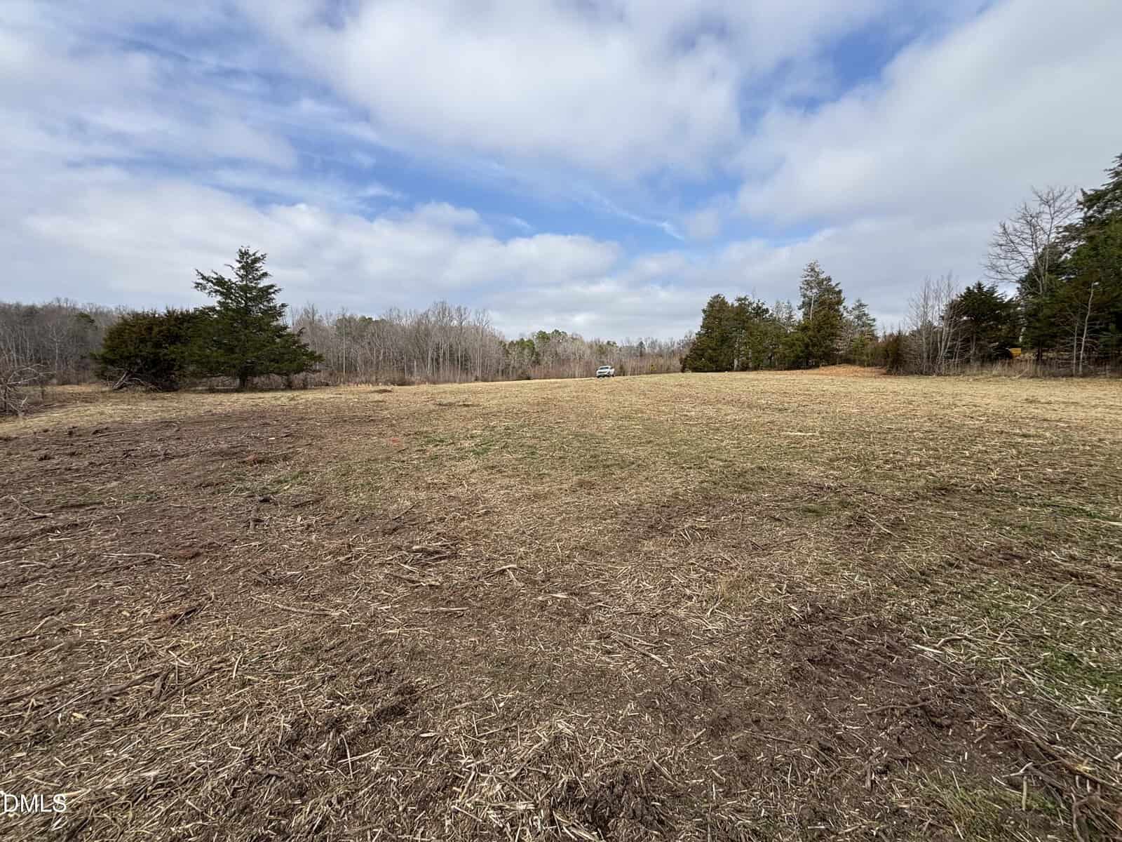 An open field with dry grass, bordered by scattered trees under a partly cloudy sky. A white vehicle is parked in the distance near the tree line.