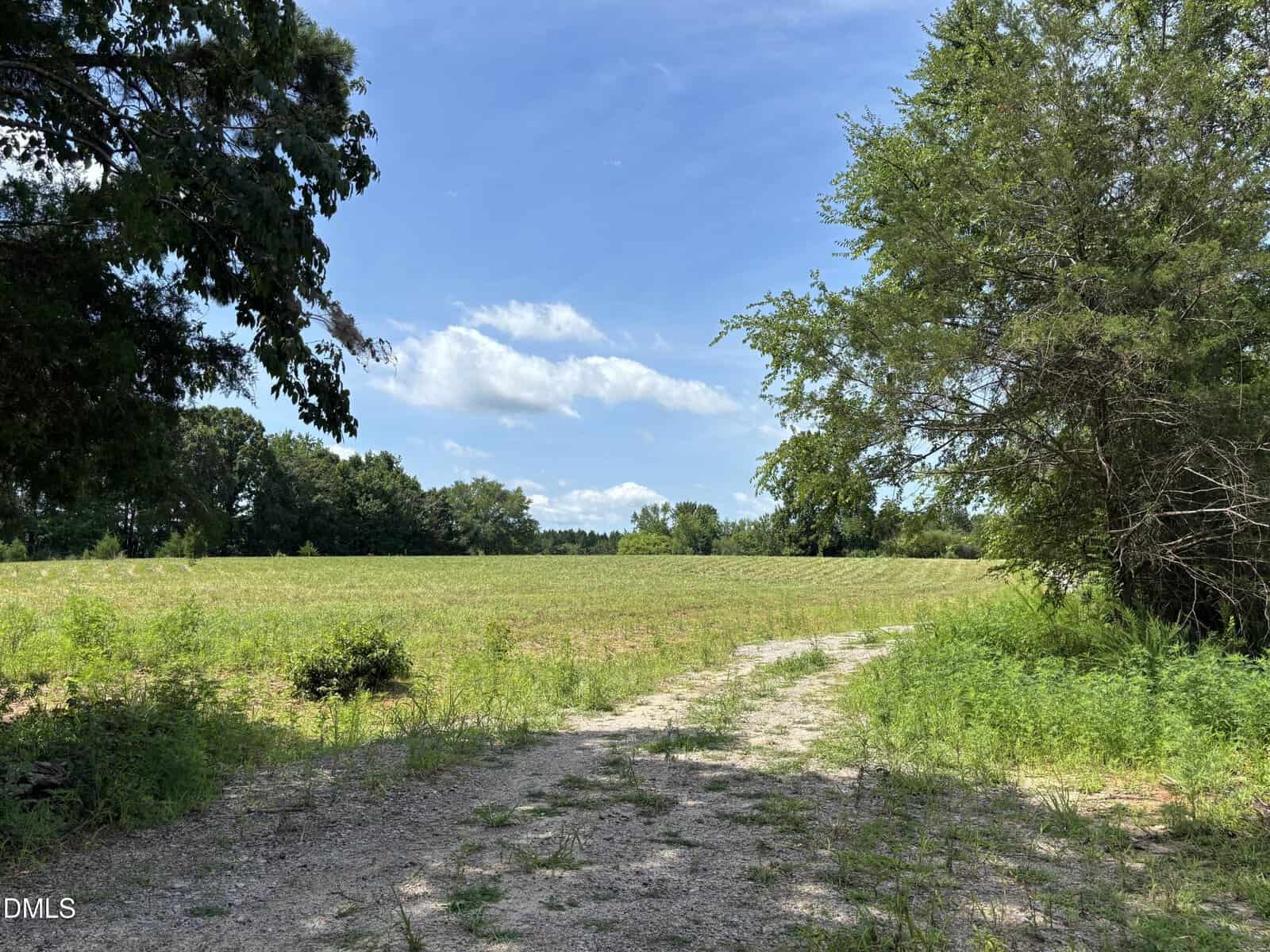 A dirt path leads through grassy vegetation toward an open field bordered by trees under a blue sky with scattered clouds. The scene is brightly lit with green foliage visible along the edges.