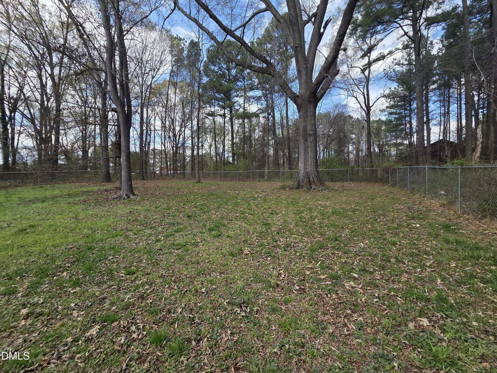 Fenced backyard with large trees, patchy green grass, and scattered fallen leaves, bordered by a wooded area under a partly cloudy sky.