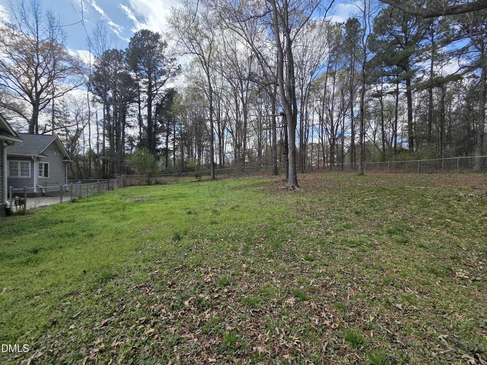 A grassy backyard with scattered leaves, bordered by trees and a chain-link fence. A house is partially visible on the left side, and the sky is partly cloudy above the wooded area.