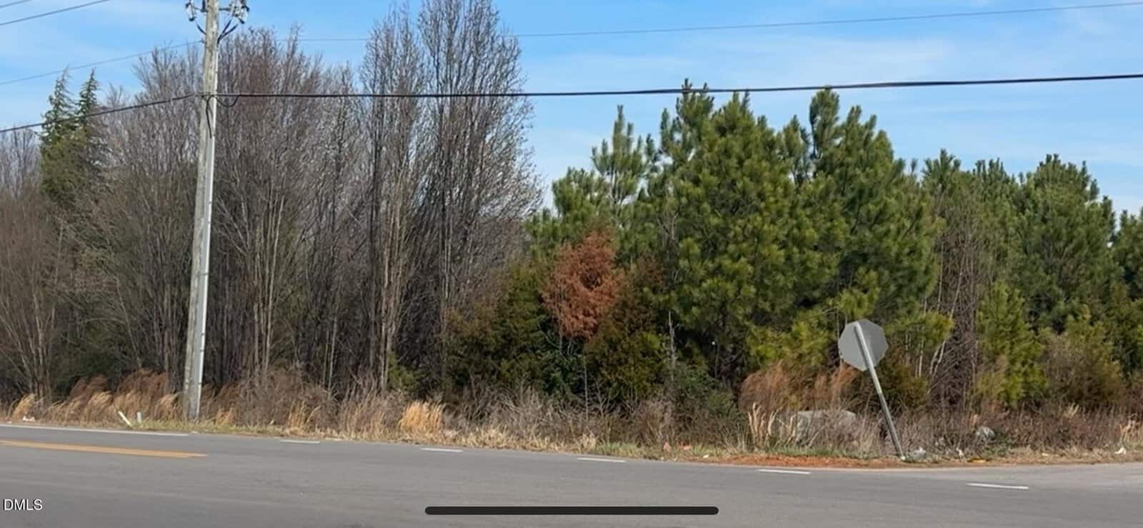 A street runs alongside a row of trees and shrubs, with a utility pole and power lines visible. A bent road sign stands near the edge of the road under a clear blue sky.
