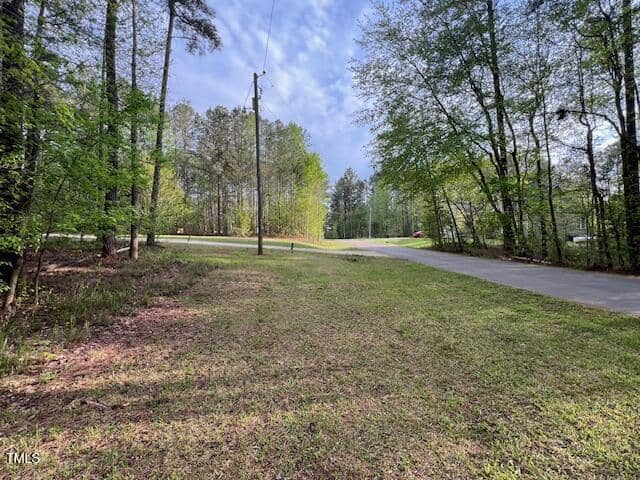 A grassy area bordered by trees leads to a paved road under a partly cloudy sky. A utility pole with wires stands near the road. The scene is surrounded by dense woods.
