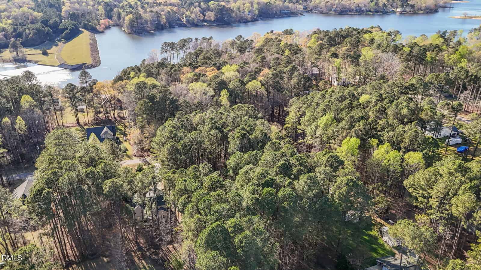 Aerial view of a forested residential area near a lake, with houses partially visible among dense trees. Sunlight highlights green foliage and the calm blue water in the background.