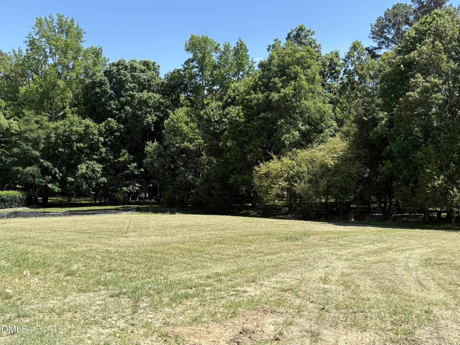 A grassy field bordered by dense, leafy trees under a clear blue sky, with sunlight casting shadows on the ground.