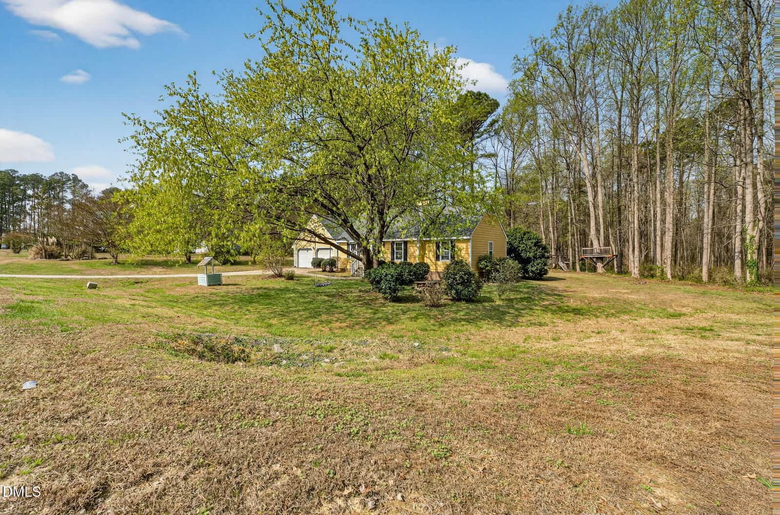 A small yellow house with a green roof sits behind a large tree in a spacious yard with scattered bushes, surrounded by tall trees and open grassy areas under a blue sky with some clouds.