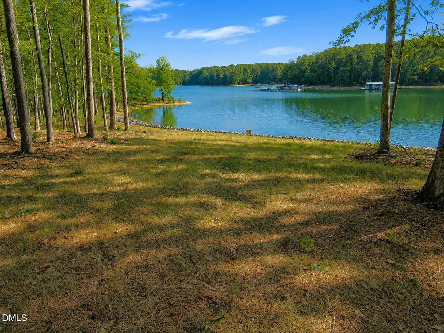 A peaceful lake bordered by trees and a grassy shoreline, with a small dock visible in the distance under a blue sky with scattered clouds.