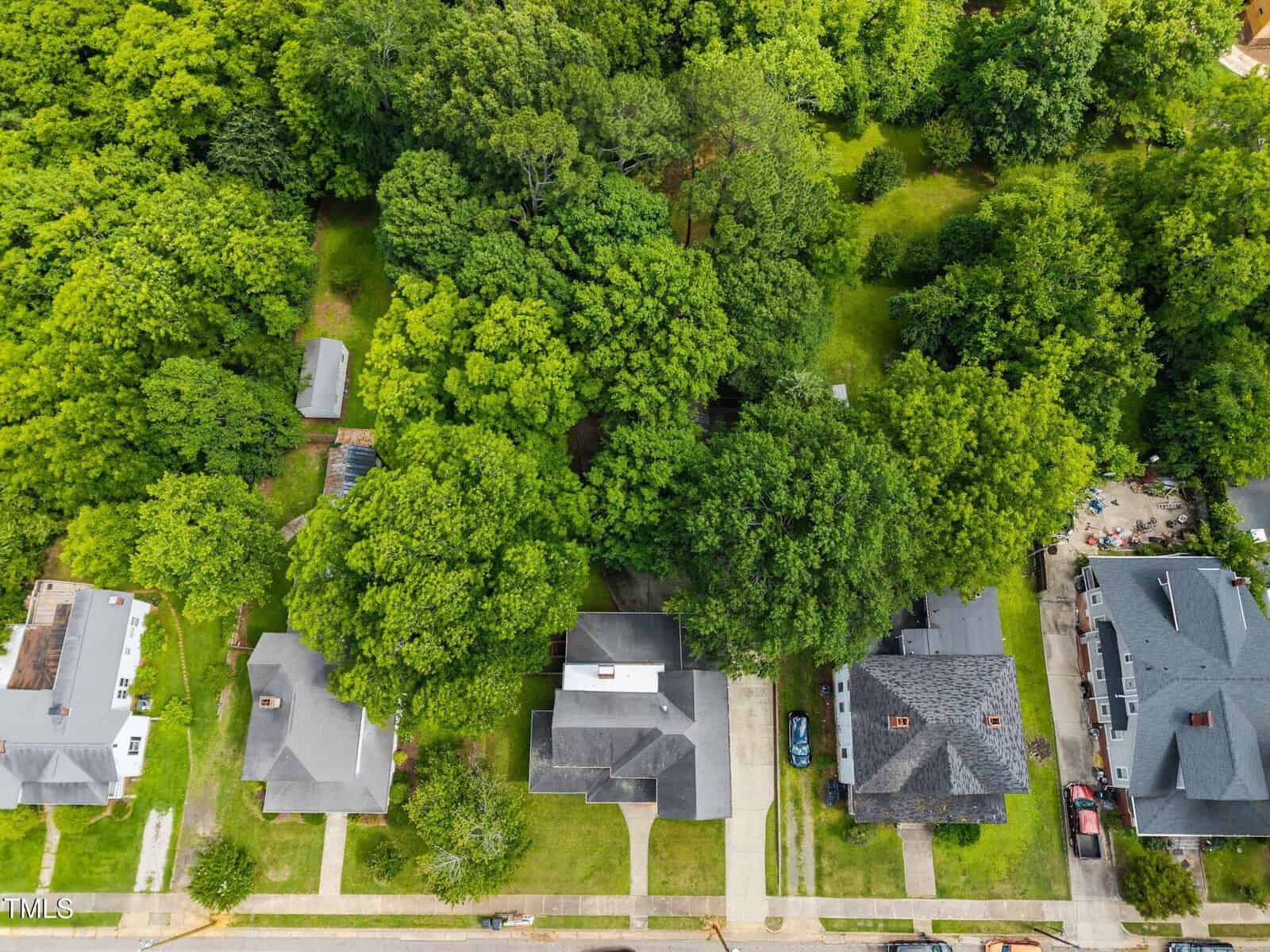 Aerial view of a suburban neighborhood with five houses, green lawns, driveways, and dense trees behind the homes, bordering a wooded area.