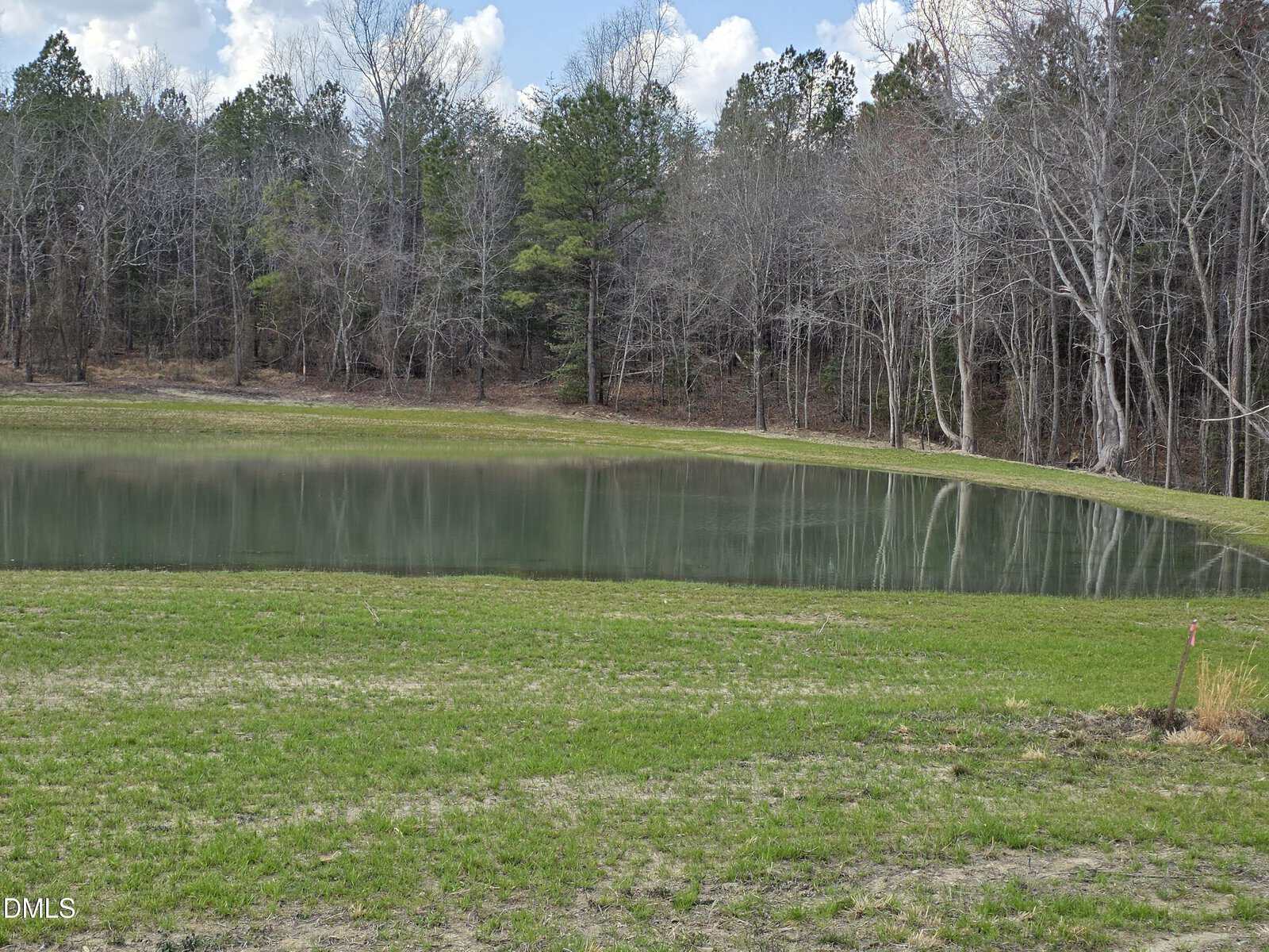 A small pond bordered by green grass and surrounded by leafless and evergreen trees under a partly cloudy sky. The water reflects the trees lining the edge of the pond.