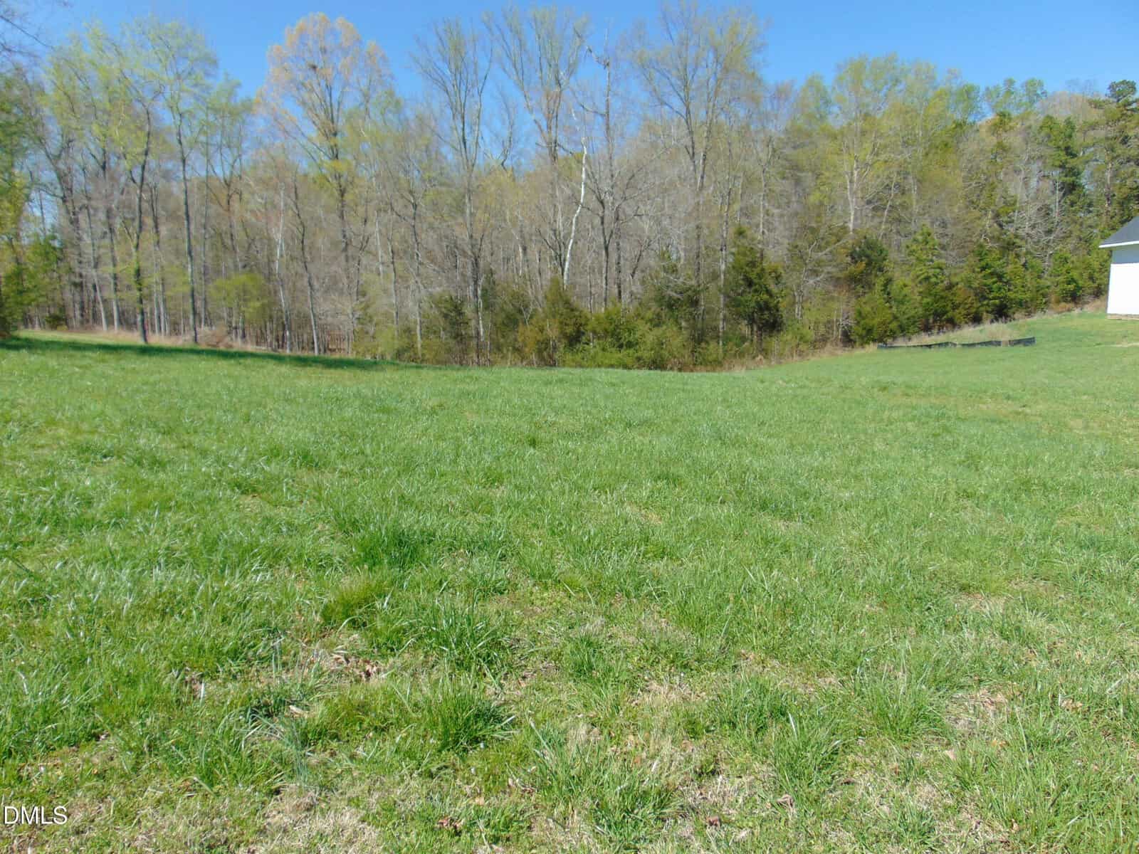 A grassy open field with green grass in the foreground, bordered by trees with early spring foliage in the background under a clear blue sky. Part of a white building is visible on the right edge of the image.