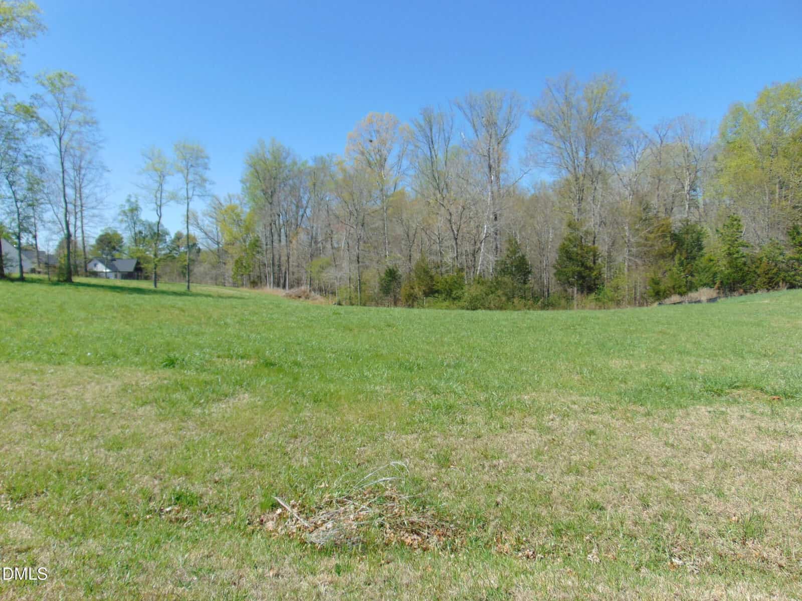 A grassy open field with scattered patches of dry grass, bordered by a line of tall trees under a clear blue sky. A small house is visible in the distance on the left side.