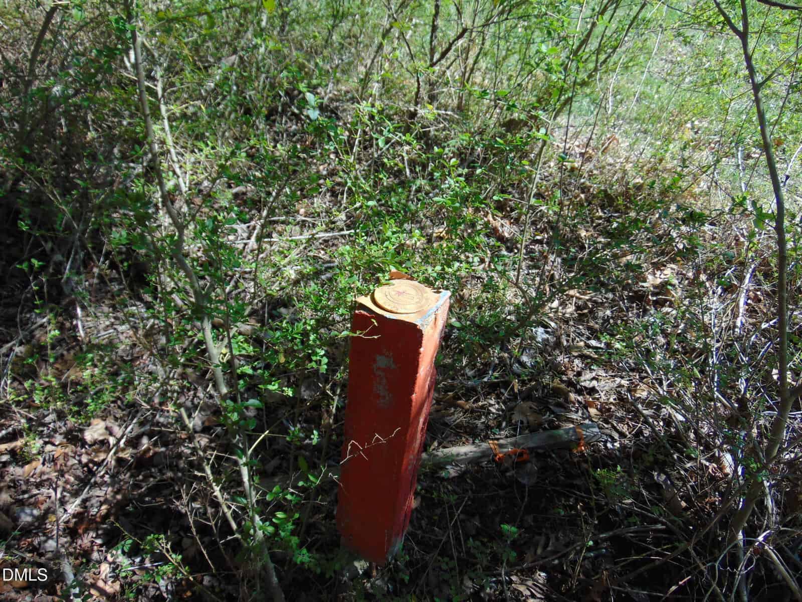 A red wooden post stands among green bushes and dry leaves on the ground, partially surrounded by overgrown vegetation in a sunlit outdoor area.