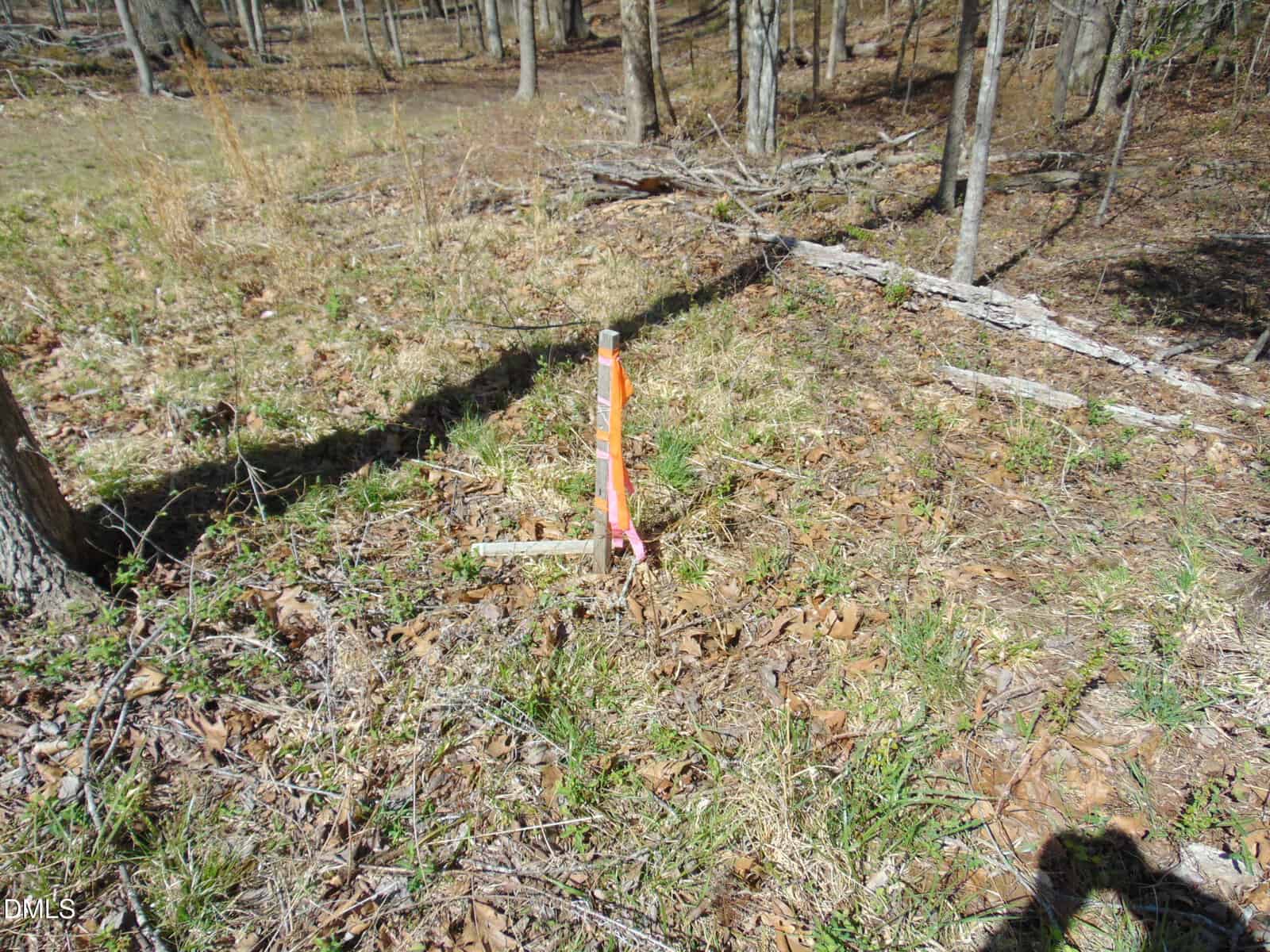 A wooded area with a wooden stake in the ground, marked by bright orange and pink flagging tape. Dry leaves and grass cover the ground, and trees without leaves are in the background.