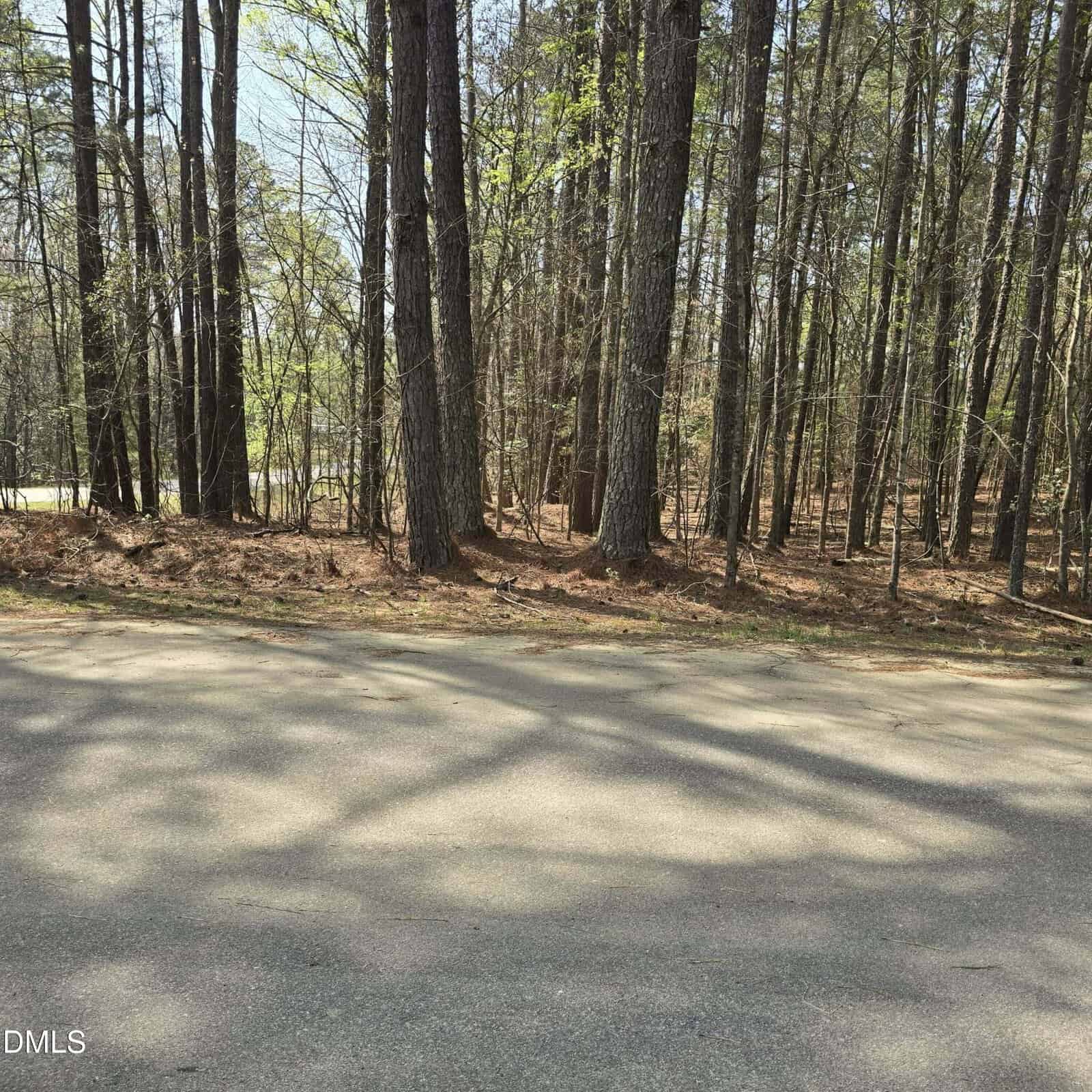 A paved road runs alongside a wooded area with tall trees and scattered leaves on the ground; sunlight filters through the branches, casting shadows on the pavement.