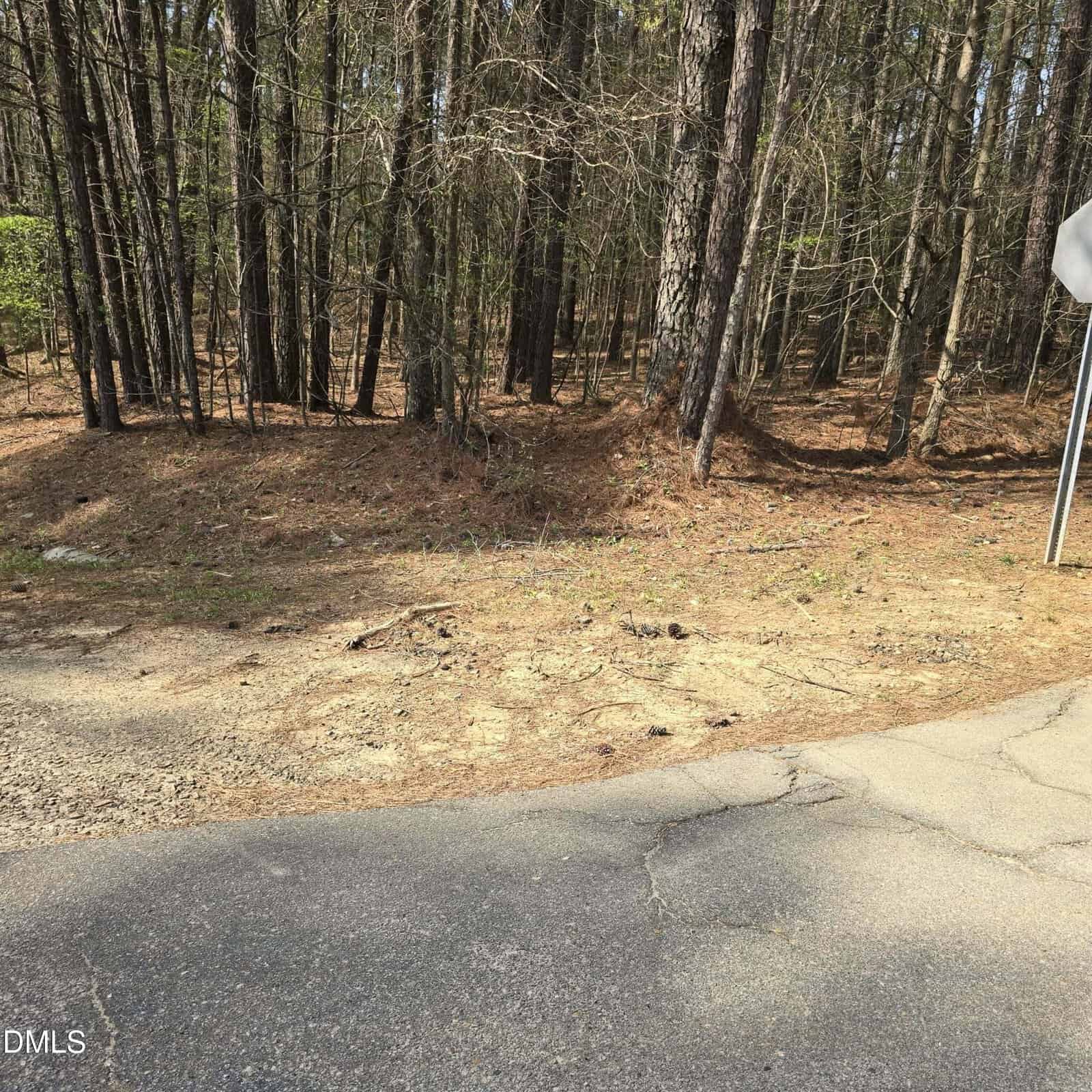 A paved road curves next to a patch of dry, bare ground leading into a dense forest of tall, thin trees. A partial metal signpost is visible on the right side of the image.