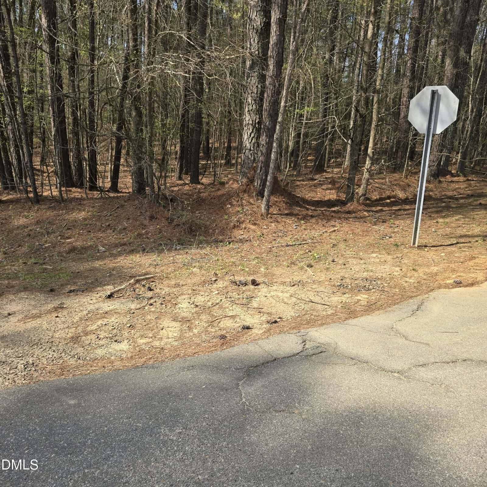 A stop sign with a blank or faded face stands at the edge of a paved road with cracks, next to a forested area with tall trees and brown pine needles on the ground.