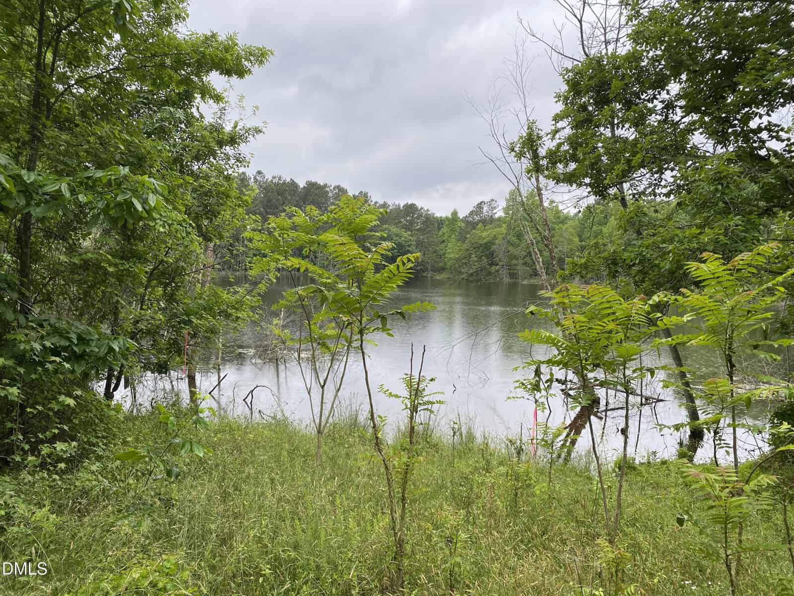 A calm lake is surrounded by lush green trees and grass under an overcast sky, with some taller plants in the foreground near the water’s edge.