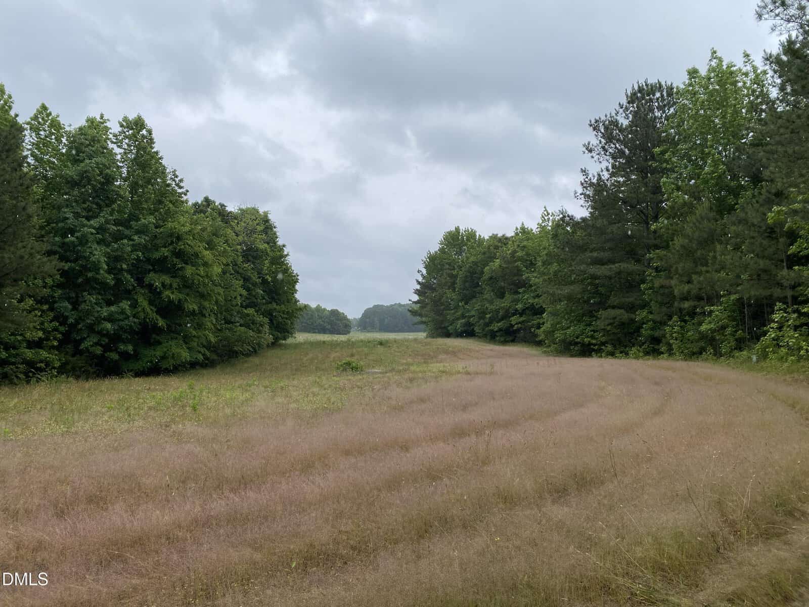 A grassy field bordered by dense green trees on both sides extends into the distance under an overcast sky. The grass is slightly brown and uncut, with a faint path curving through the right side.