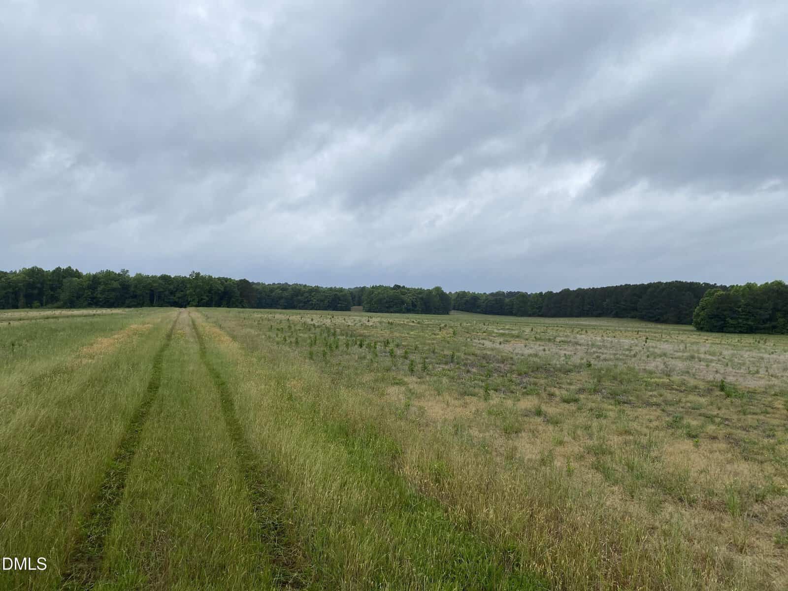 A grassy field with a dirt path running through it stretches toward a distant tree line under a cloudy sky. The grass appears patchy in some areas, and the overall landscape is flat.