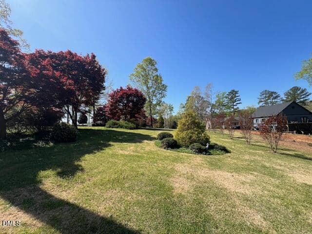 A grassy yard with scattered shrubs and small trees, including some with red foliage, under a clear blue sky. A house and more trees are visible in the background.