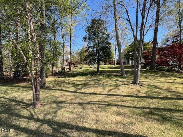 A grassy yard with scattered trees, bordered by houses in the background. Shadows from the trees fall across the lawn, and the sky is clear and blue.