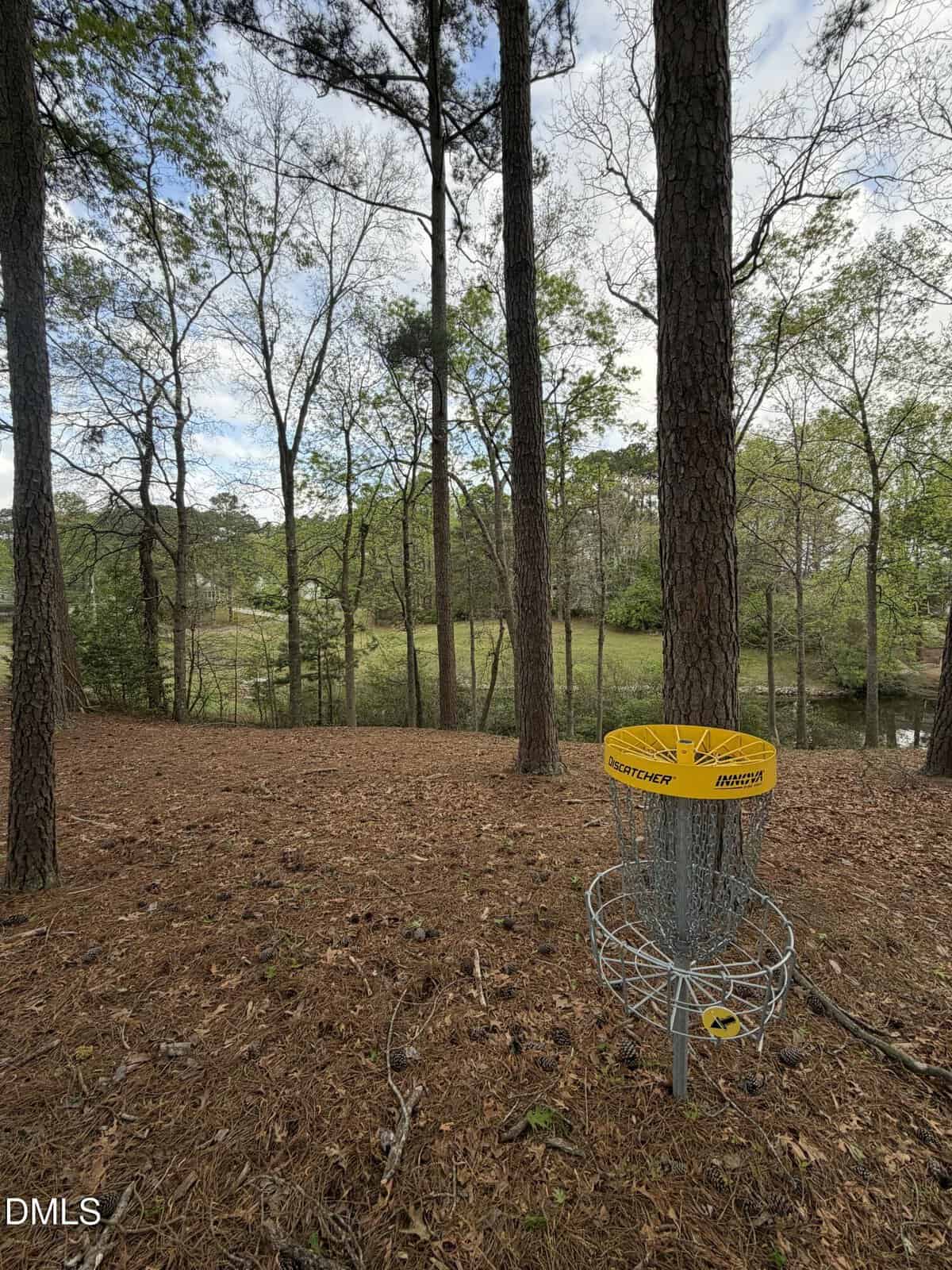 A disc golf basket stands among tall pine trees on a forest floor covered with pine needles, with a pond and green trees visible in the background under a partly cloudy sky.