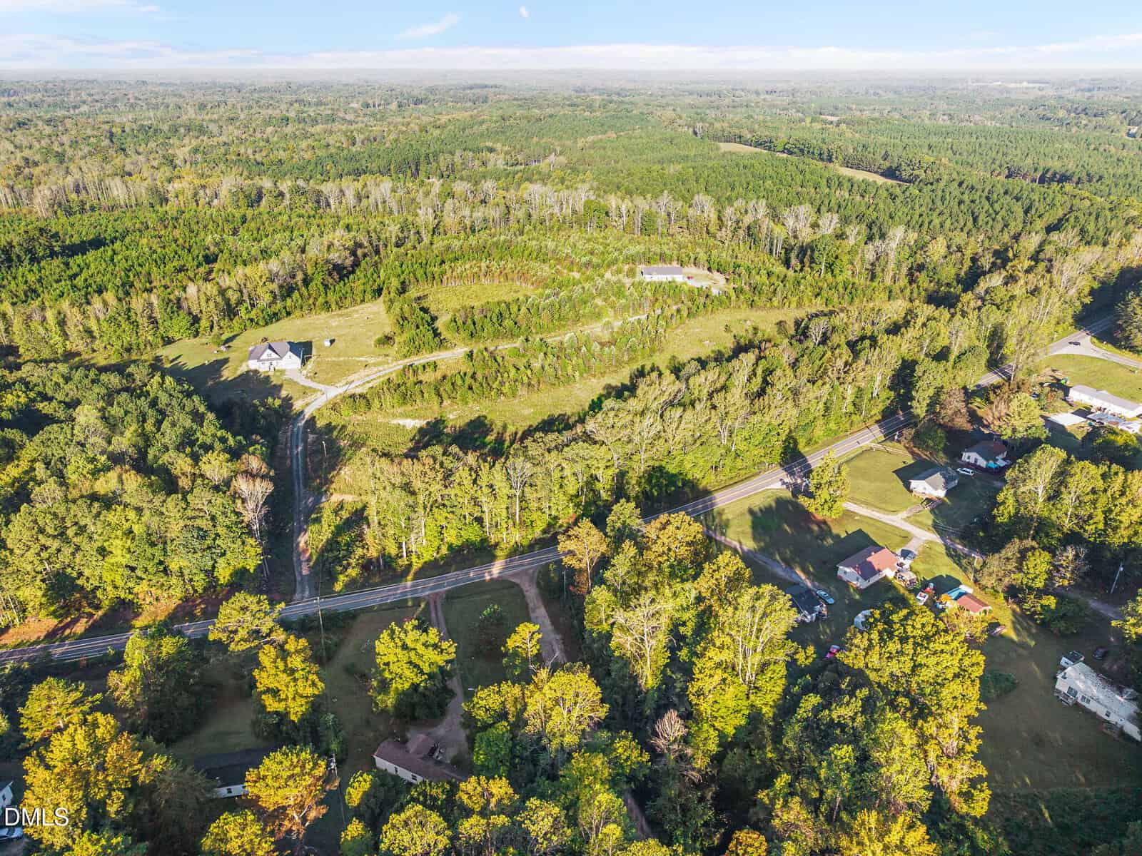 Aerial view of a rural landscape featuring dense forests, open grassy areas, houses, and a winding road running through the greenery under a clear sky.