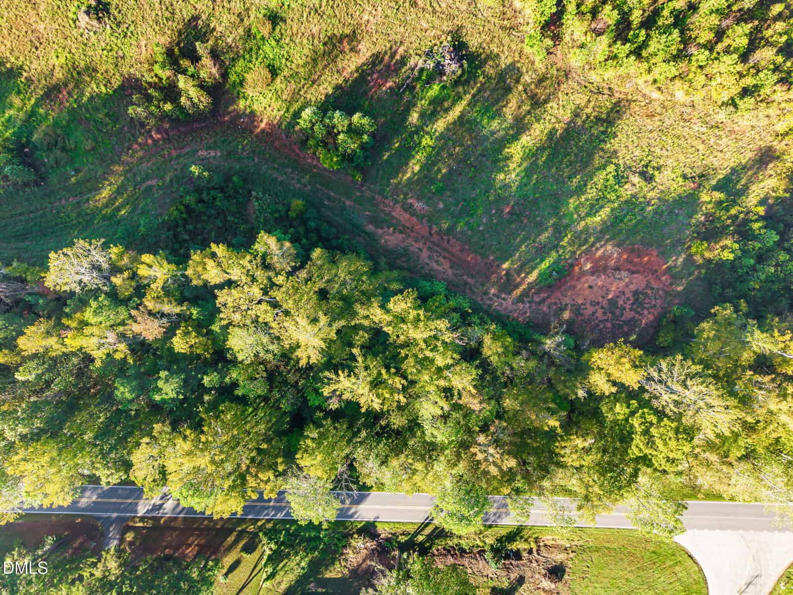 Aerial view of a paved road running alongside a dense area of green trees, with grass and patches of red soil visible above the forested section. Sunlight casts long shadows across the scene.