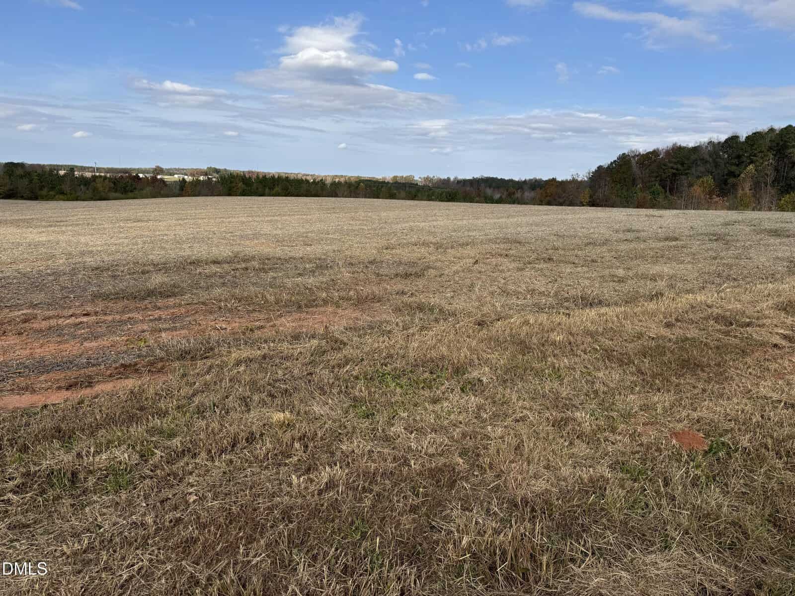 A large, open field with dry grass and patches of bare soil under a partly cloudy sky. Trees line the horizon in the background.