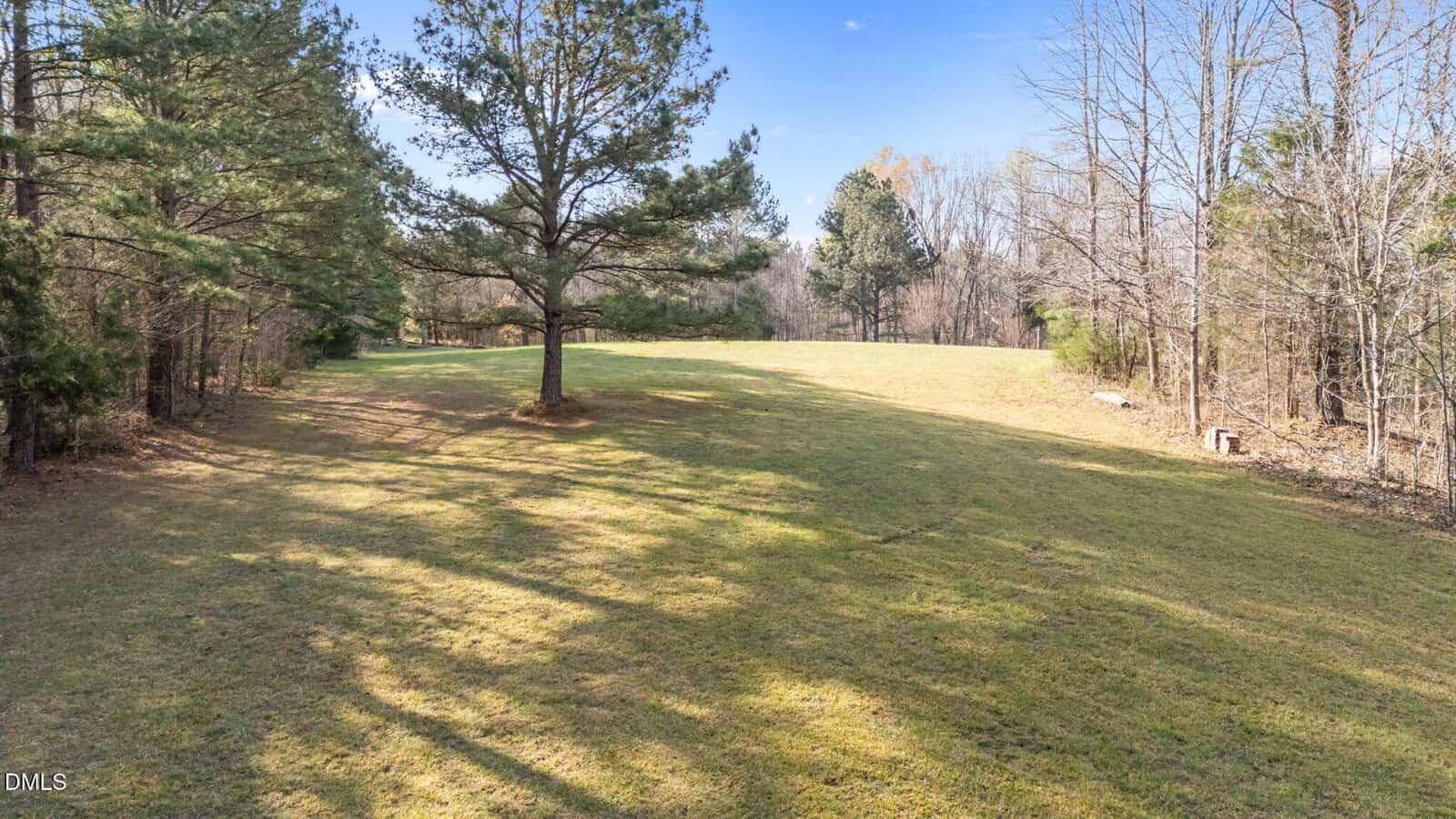 A grassy, open field bordered by trees on both sides, with a few scattered pine trees under a clear blue sky. Shadows from the trees fall across the grass.