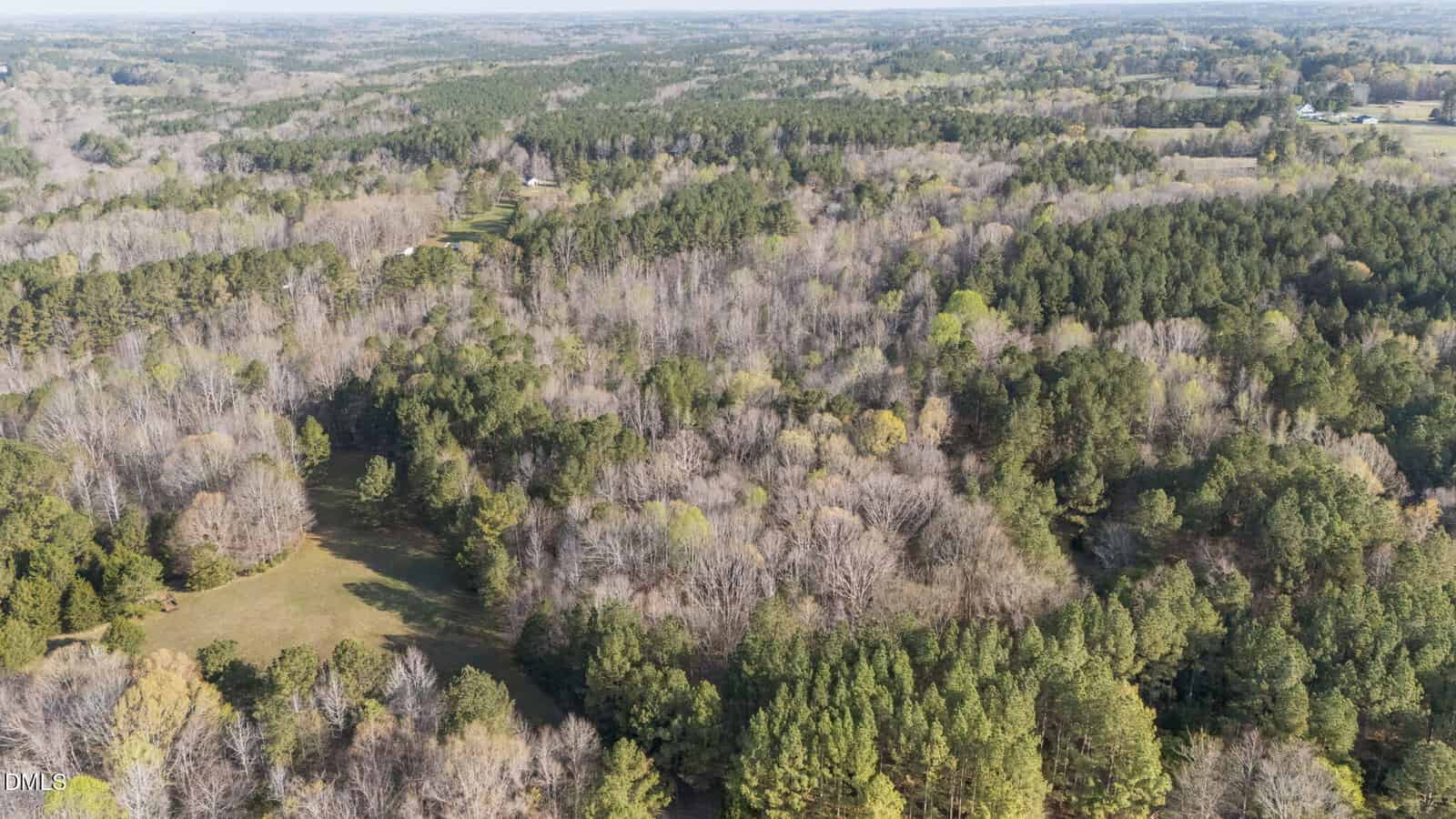 Aerial view of a forested landscape with a mix of evergreen and leafless trees, open grassy areas, and a few distant structures under a bright sky.