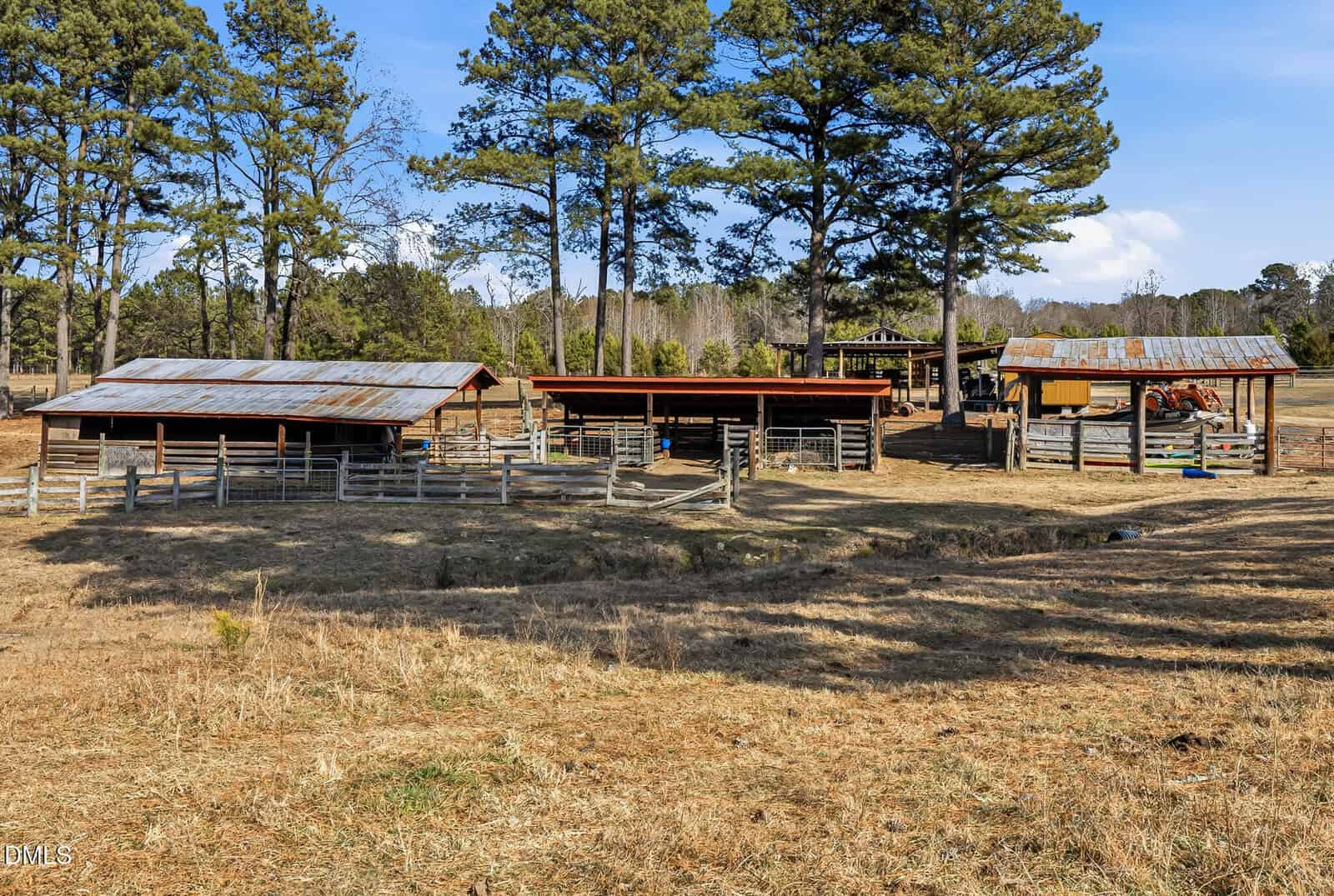 A fenced pasture with three rustic, metal-roofed animal shelters surrounded by tall pine trees on a sunny day.