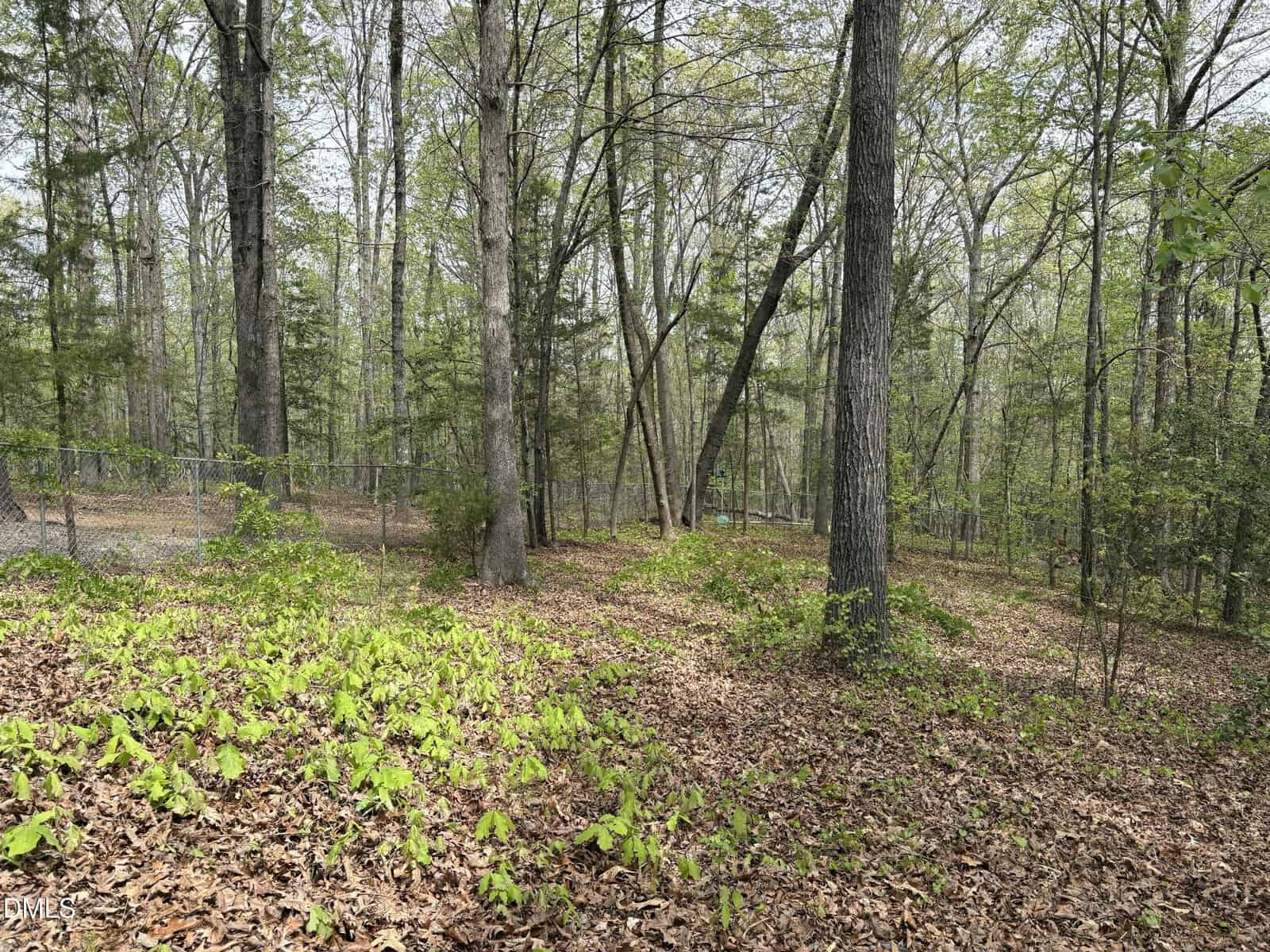 Wooded area with tall trees, green foliage, and a ground layer of fallen leaves. A chain-link fence runs along the left side in the background. The scene appears to be in early spring.