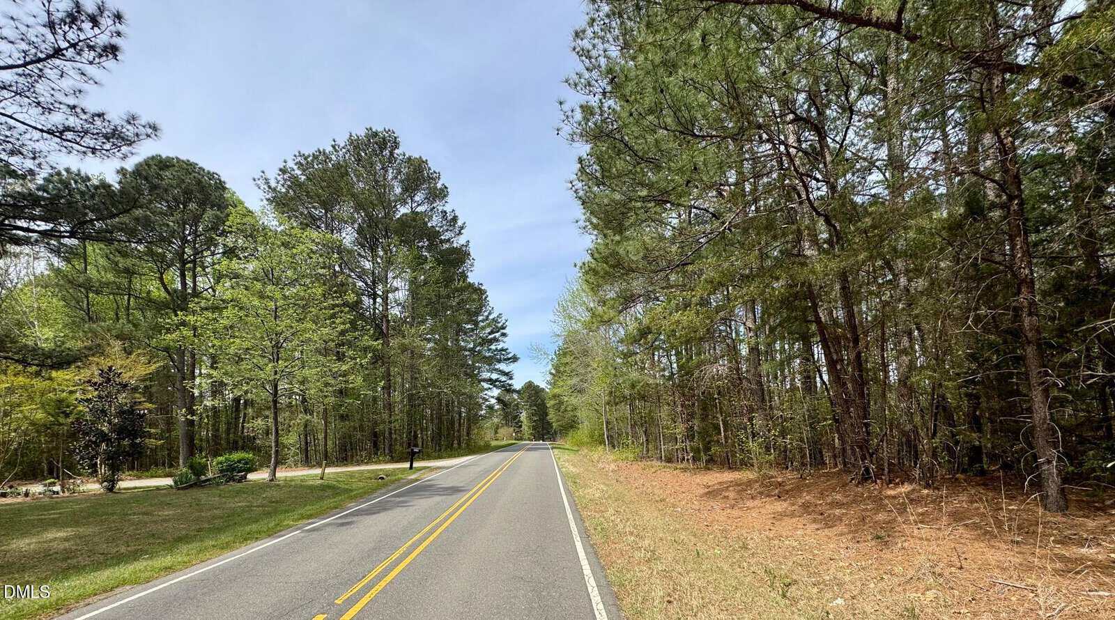 A paved two-lane road with yellow lines runs through a forested area with tall trees and green foliage on both sides under a partly cloudy sky.