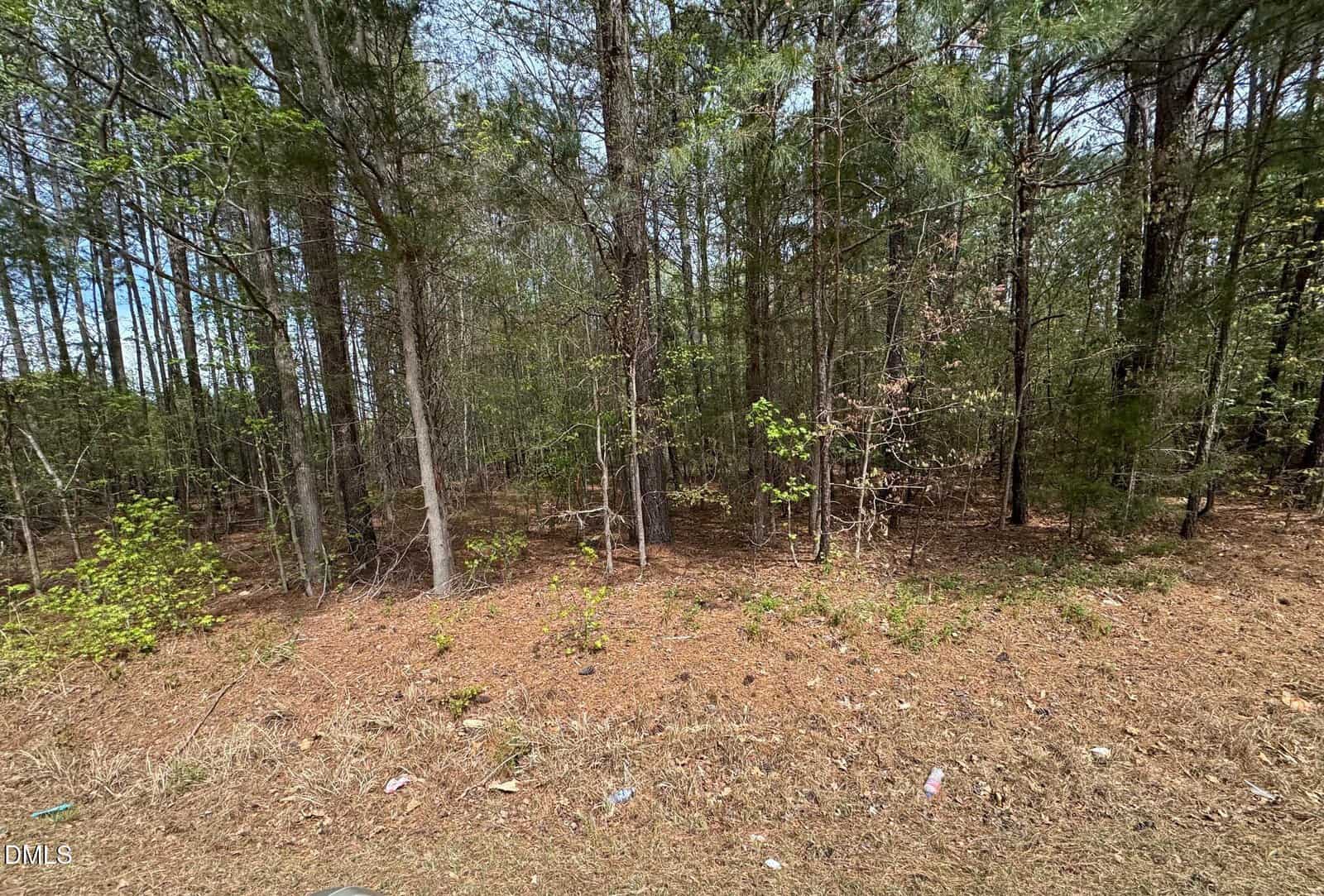 A dense forest with tall pine trees and scattered undergrowth, viewed from a dirt-covered, needle-strewn ground with some litter near the edge of the trees under a partly cloudy sky.