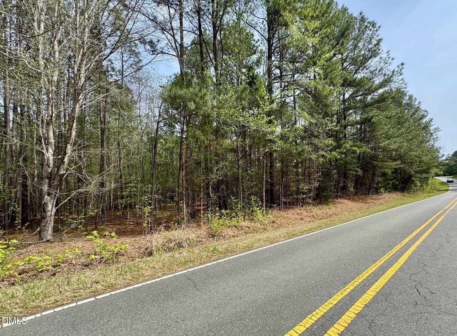 A two-lane road with double yellow lines curves past a densely wooded area with tall trees and sparse undergrowth on a clear day.