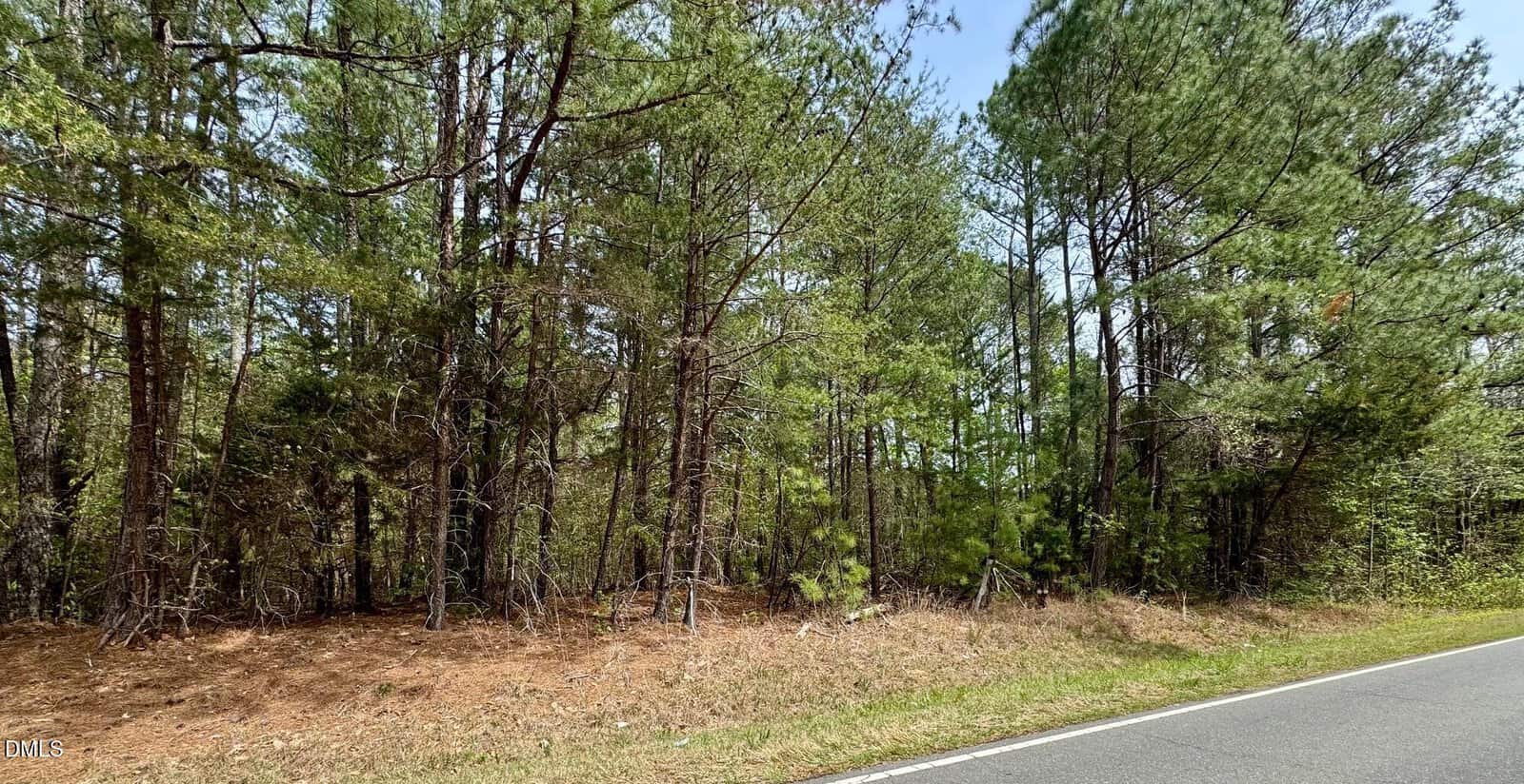 A paved road runs alongside a dense forest of tall pine trees with green foliage under a partly cloudy sky. The forest floor is covered with dry pine needles and grass.